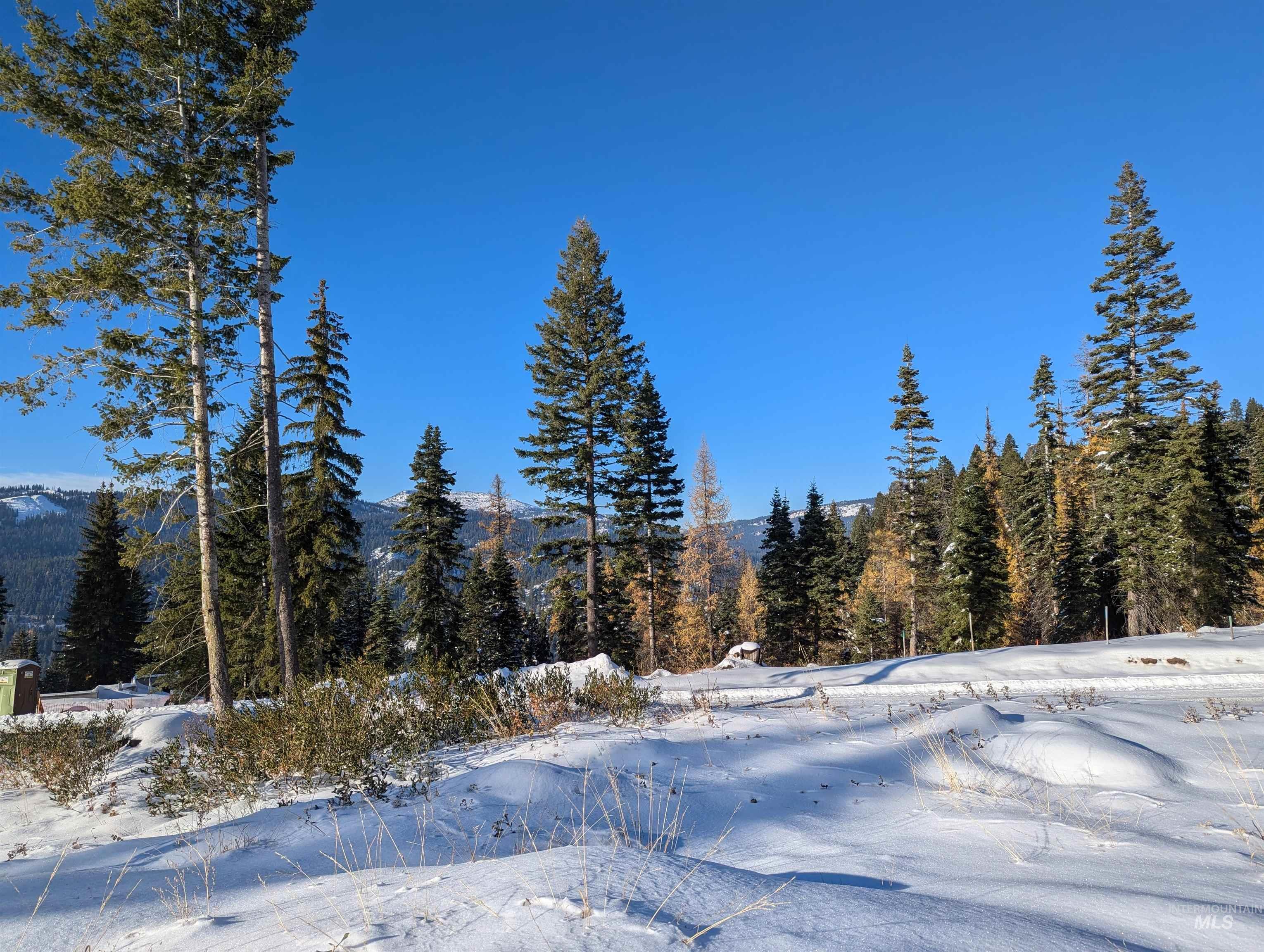 tbd North Loop, McCall, Idaho 83638, Land For Sale, Price $769,000,MLS 98984480