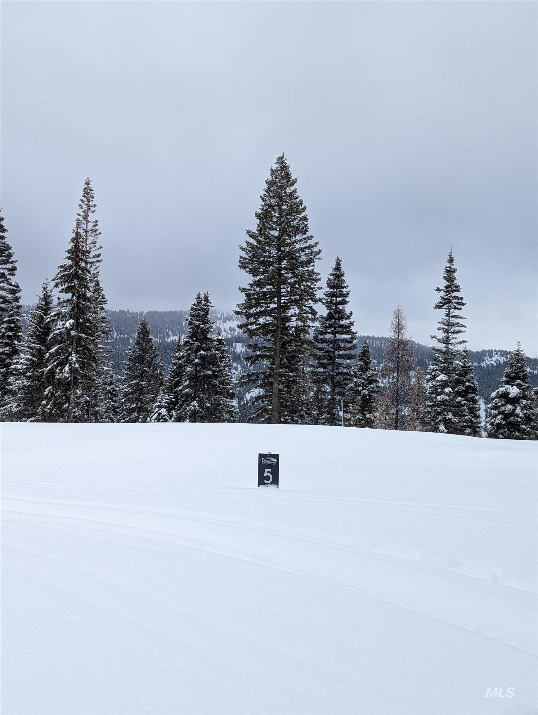 tbd North Loop, McCall, Idaho 83638, Land For Sale, Price $769,000,MLS 98984480