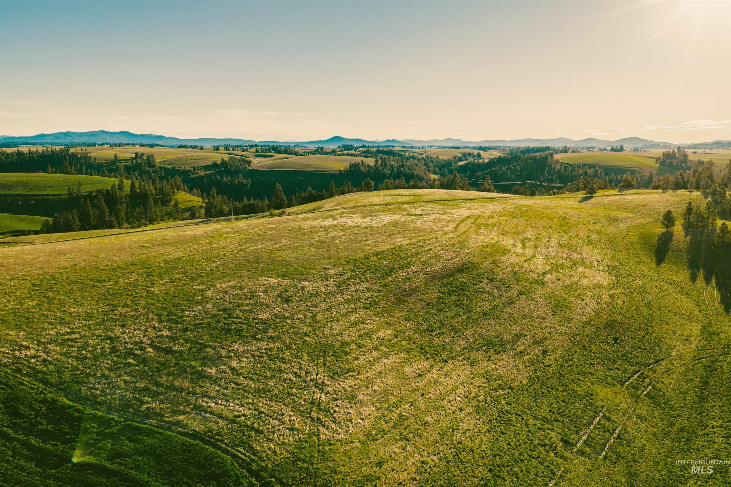 TBD Parcel 4 Drifting Snow Lane, Troy, Idaho 83871, Land For Sale, Price $429,500,MLS 98984481