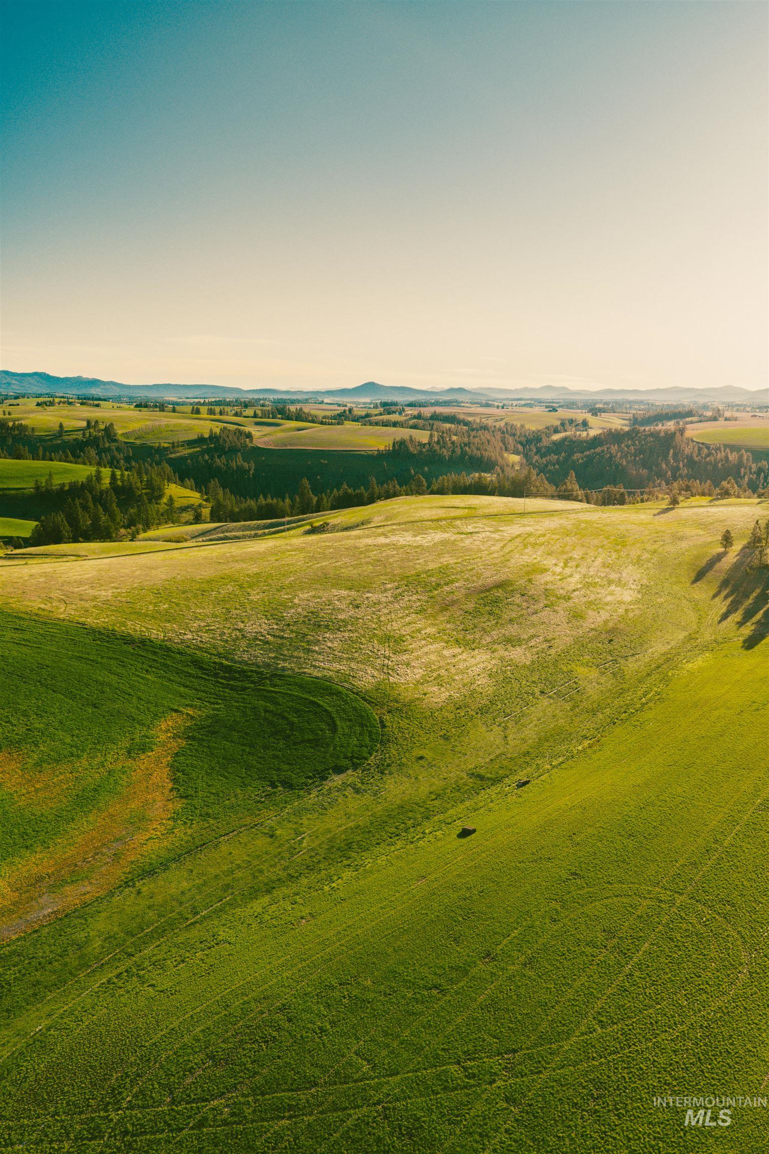 TBD Parcel 4 Drifting Snow Lane, Troy, Idaho 83871, Land For Sale, Price $429,500,MLS 98984481