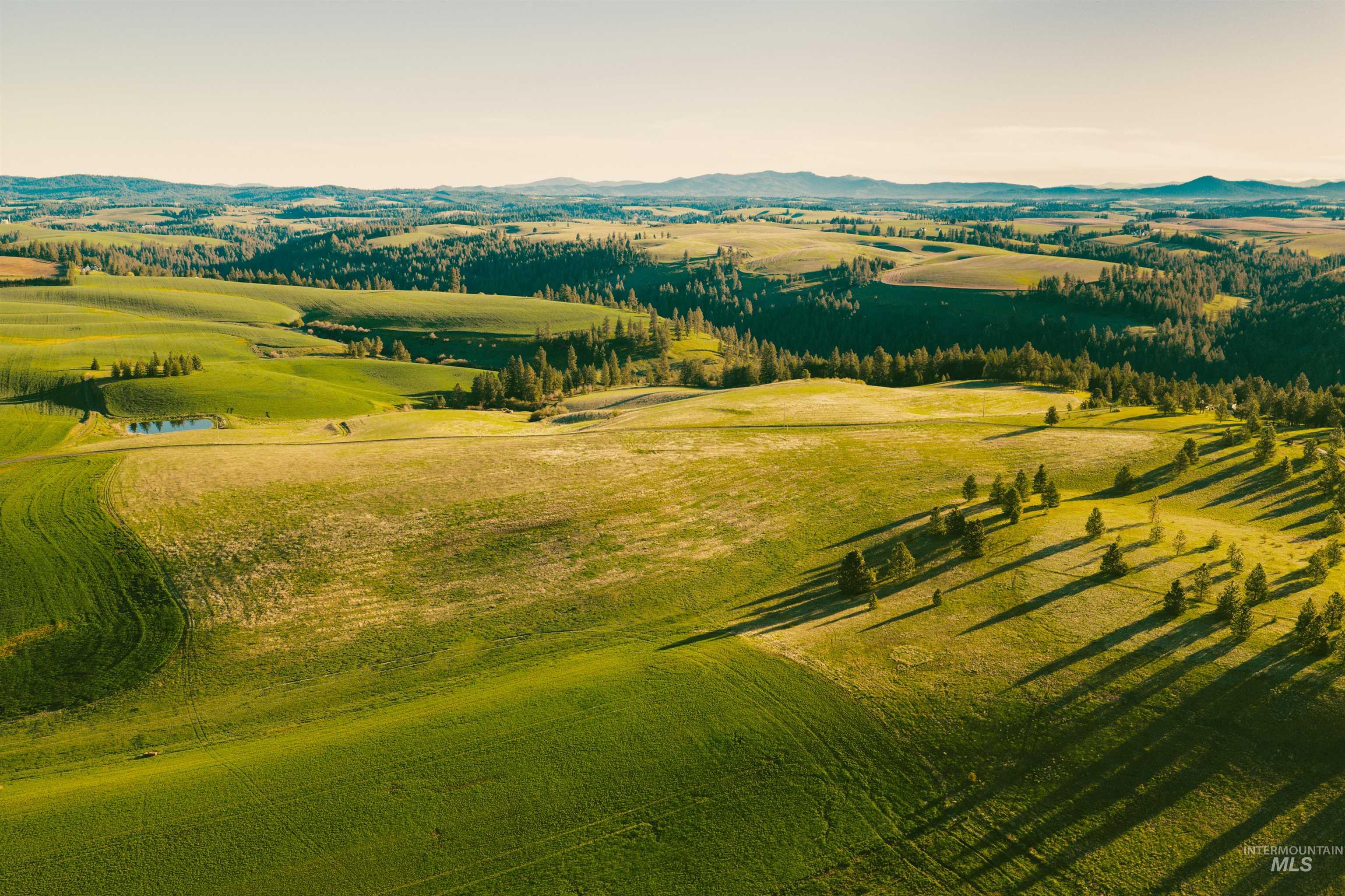TBD Parcel 4 Drifting Snow Lane, Troy, Idaho 83871, Land For Sale, Price $429,500,MLS 98984481
