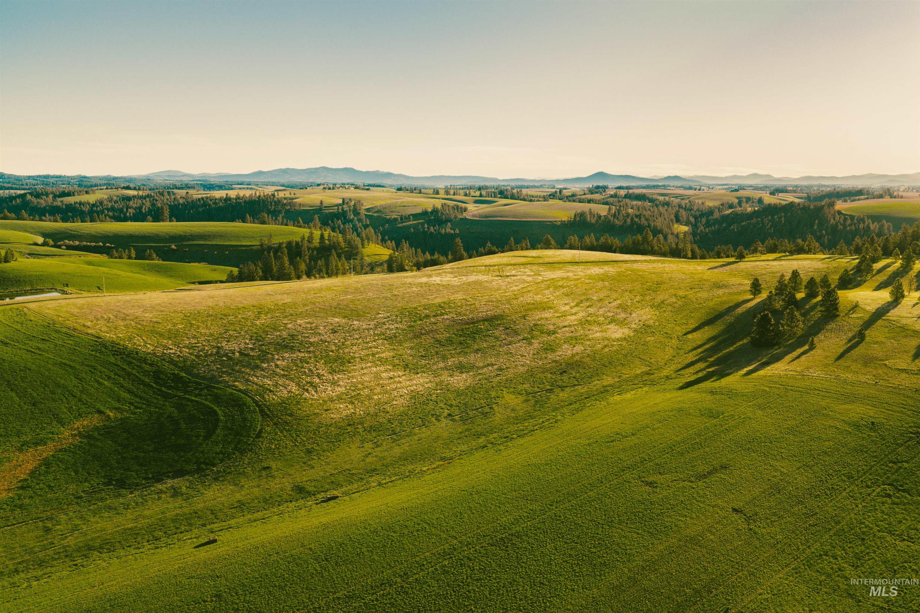 TBD Parcel 4 Drifting Snow Lane, Troy, Idaho 83871, Land For Sale, Price $429,500,MLS 98984481