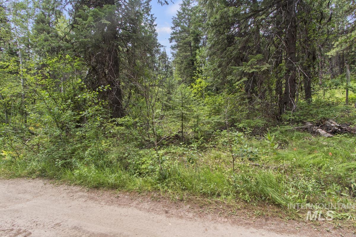 517 Susan Road, Cascade, Idaho 83611, Land For Sale, Price $79,800,MLS 98984509