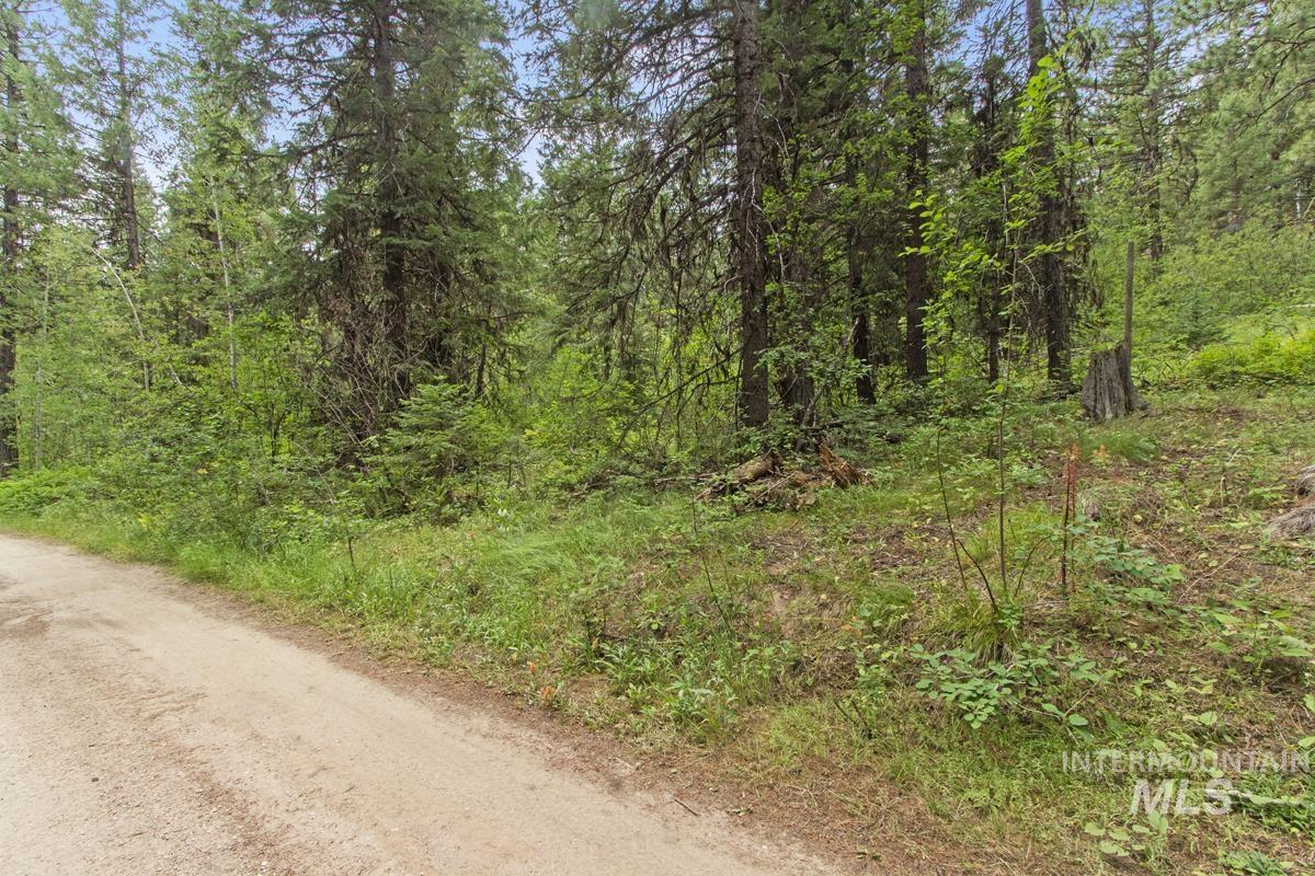 517 Susan Road, Cascade, Idaho 83611, Land For Sale, Price $79,800,MLS 98984509
