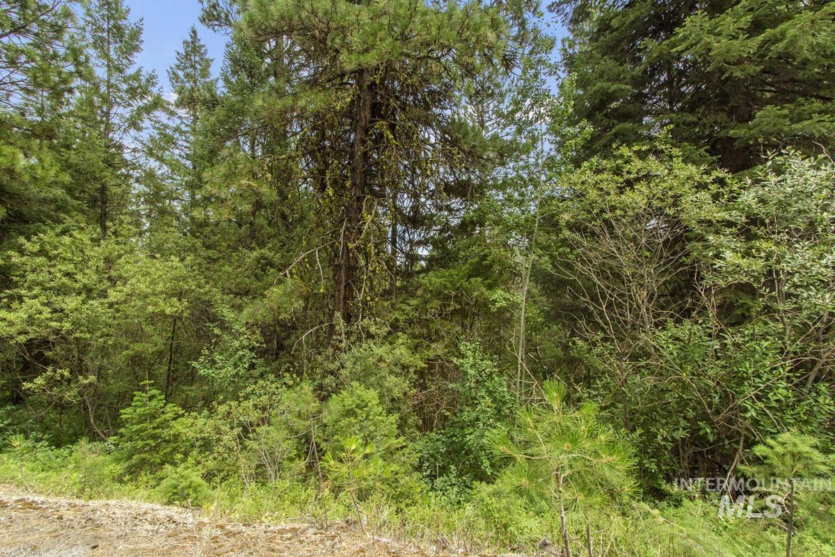517 Susan Road, Cascade, Idaho 83611, Land For Sale, Price $79,800,MLS 98984509
