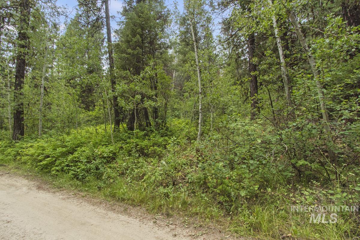 517 Susan Road, Cascade, Idaho 83611, Land For Sale, Price $79,800,MLS 98984509