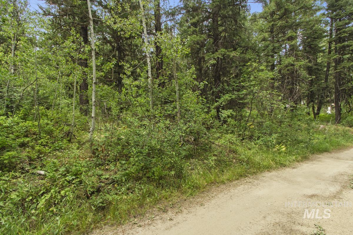 517 Susan Road, Cascade, Idaho 83611, Land For Sale, Price $79,800,MLS 98984509