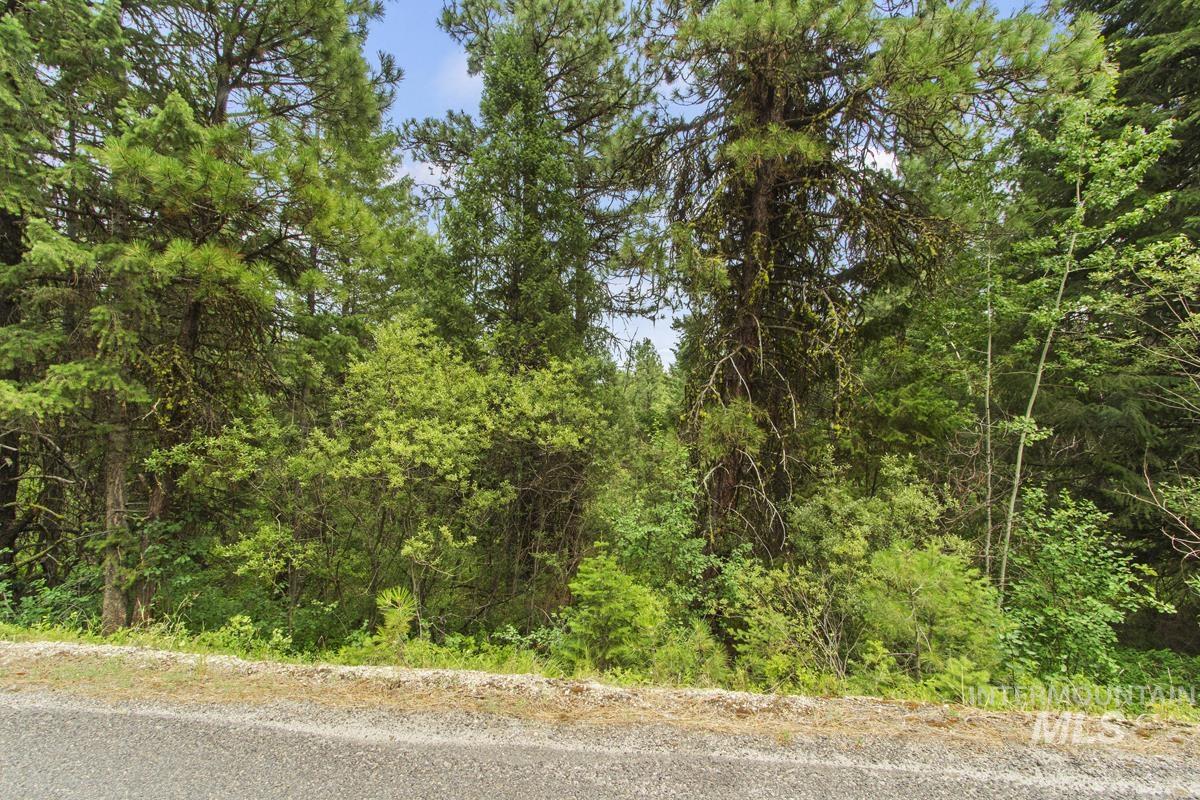 517 Susan Road, Cascade, Idaho 83611, Land For Sale, Price $79,800,MLS 98984509