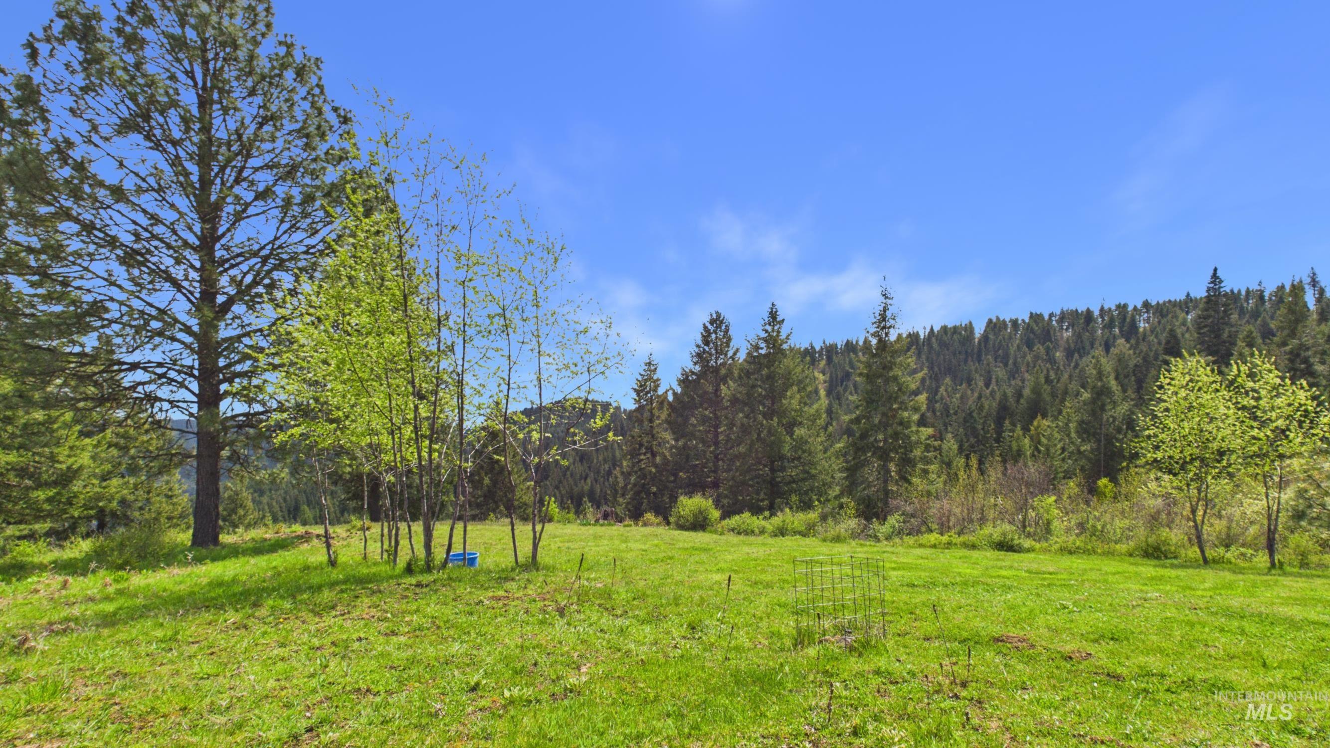 706 Canyon Rim Lane, Orofino, Idaho 83544, 3 Bedrooms, 2 Bathrooms, Residential For Sale, Price $555,000, 98984514