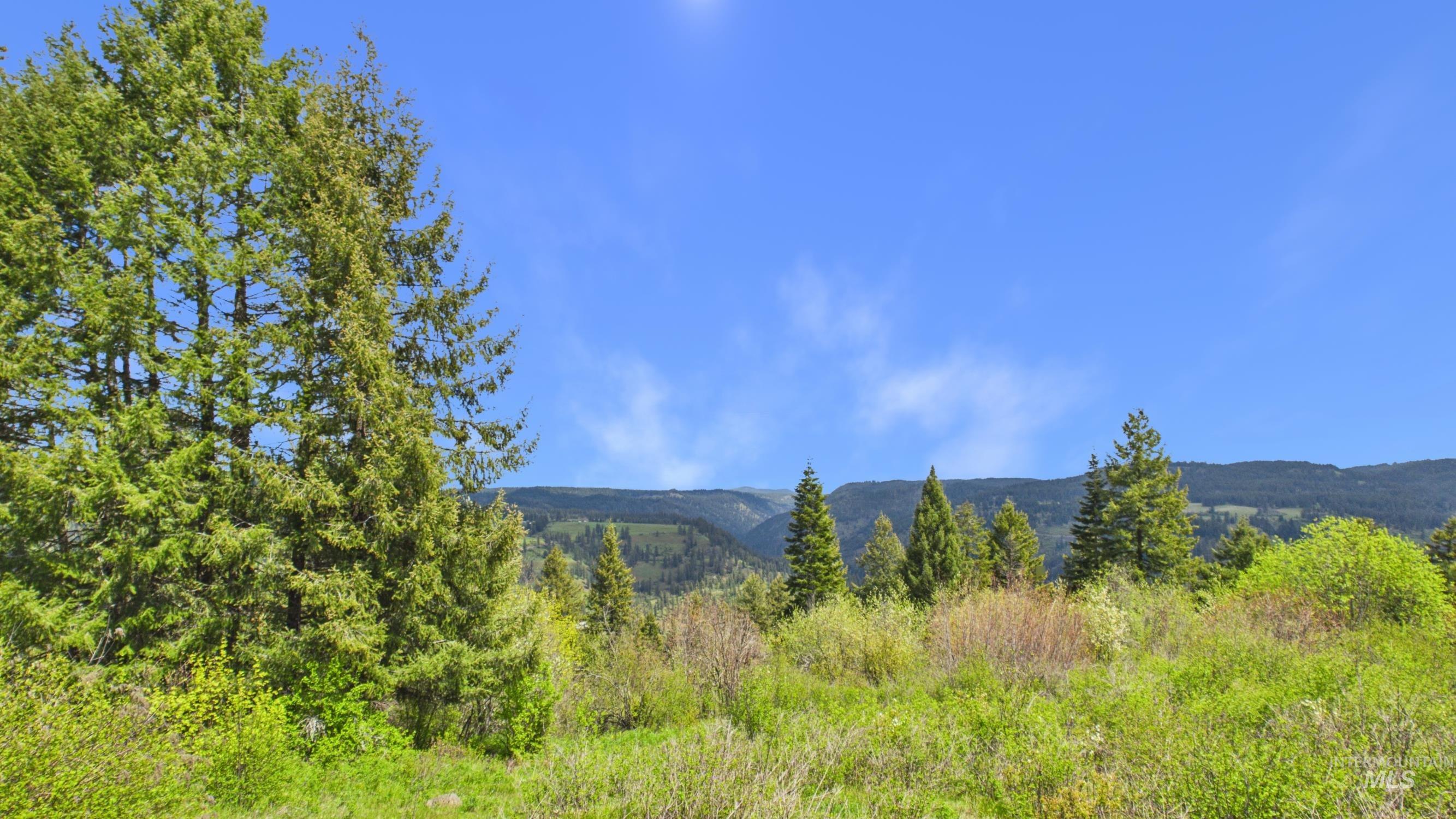 706 Canyon Rim Lane, Orofino, Idaho 83544, 3 Bedrooms, 2 Bathrooms, Residential For Sale, Price $555,000, 98984514