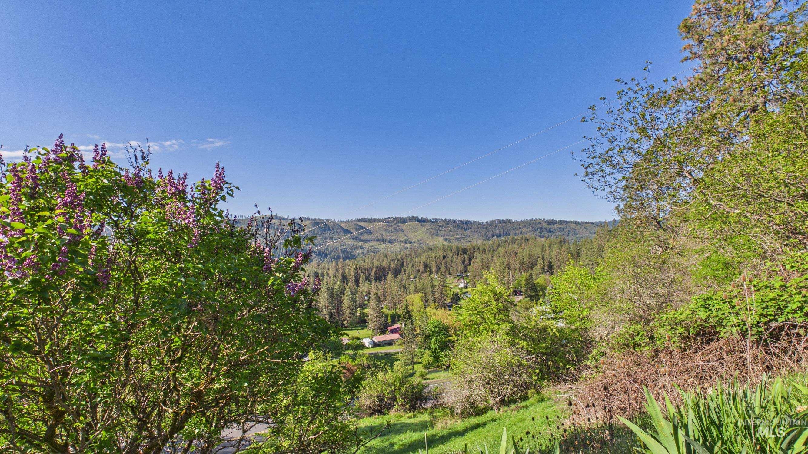 29 Pinecone Park Lane, Orofino, Idaho 83544, 4 Bedrooms, 3 Bathrooms, Residential For Sale, Price $440,000, 98984546