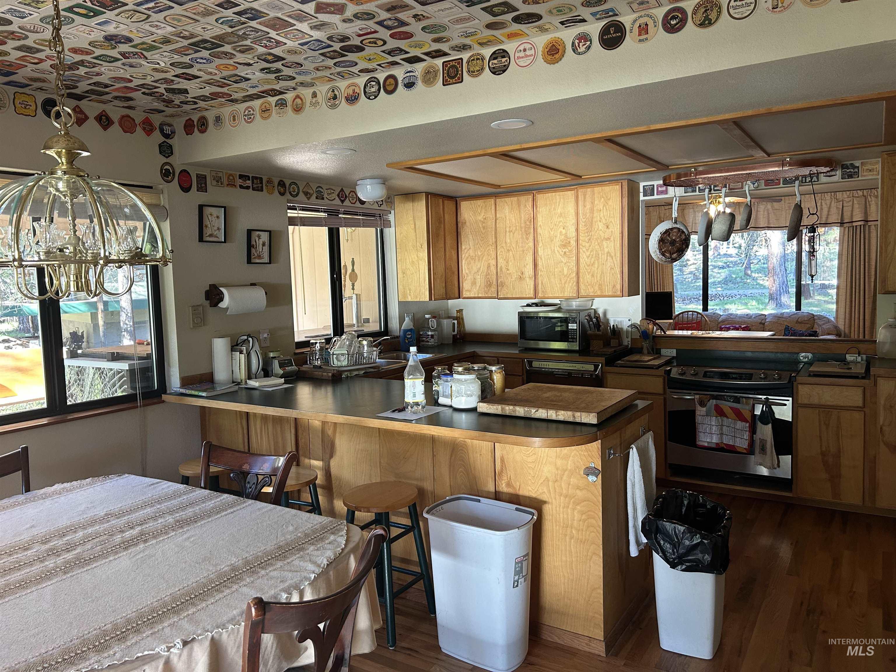 17 Bransons Dr, Lowman, Idaho 83637, 2 Bedrooms, 1 Bathroom, Residential For Sale, Price $585,000, 98984548