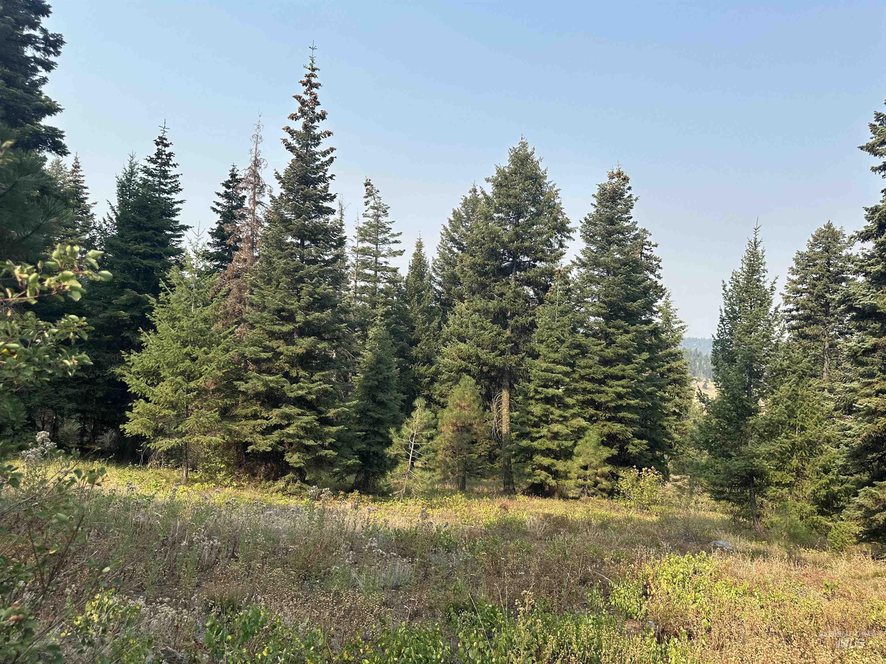 TBD Whitefield Lane, McCall, Idaho 83638-0000, Land For Sale, Price $329,900,MLS 98984559