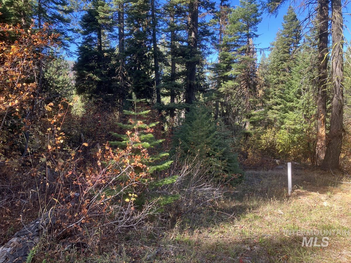 541 West Mountain Road, Cascade, Idaho 83611, Land For Sale, Price $95,500,MLS 98984566