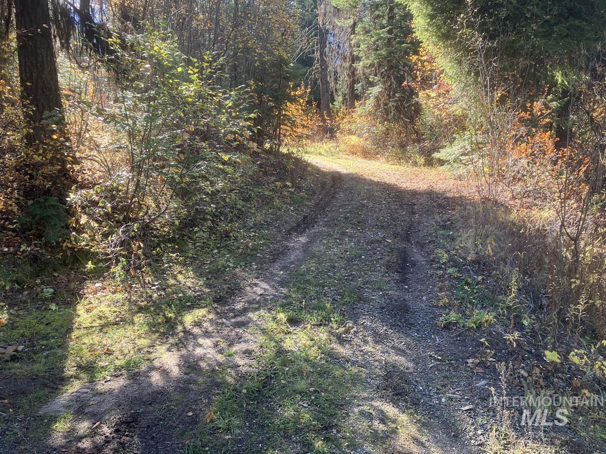 541 West Mountain Road, Cascade, Idaho 83611, Land For Sale, Price $95,500,MLS 98984566
