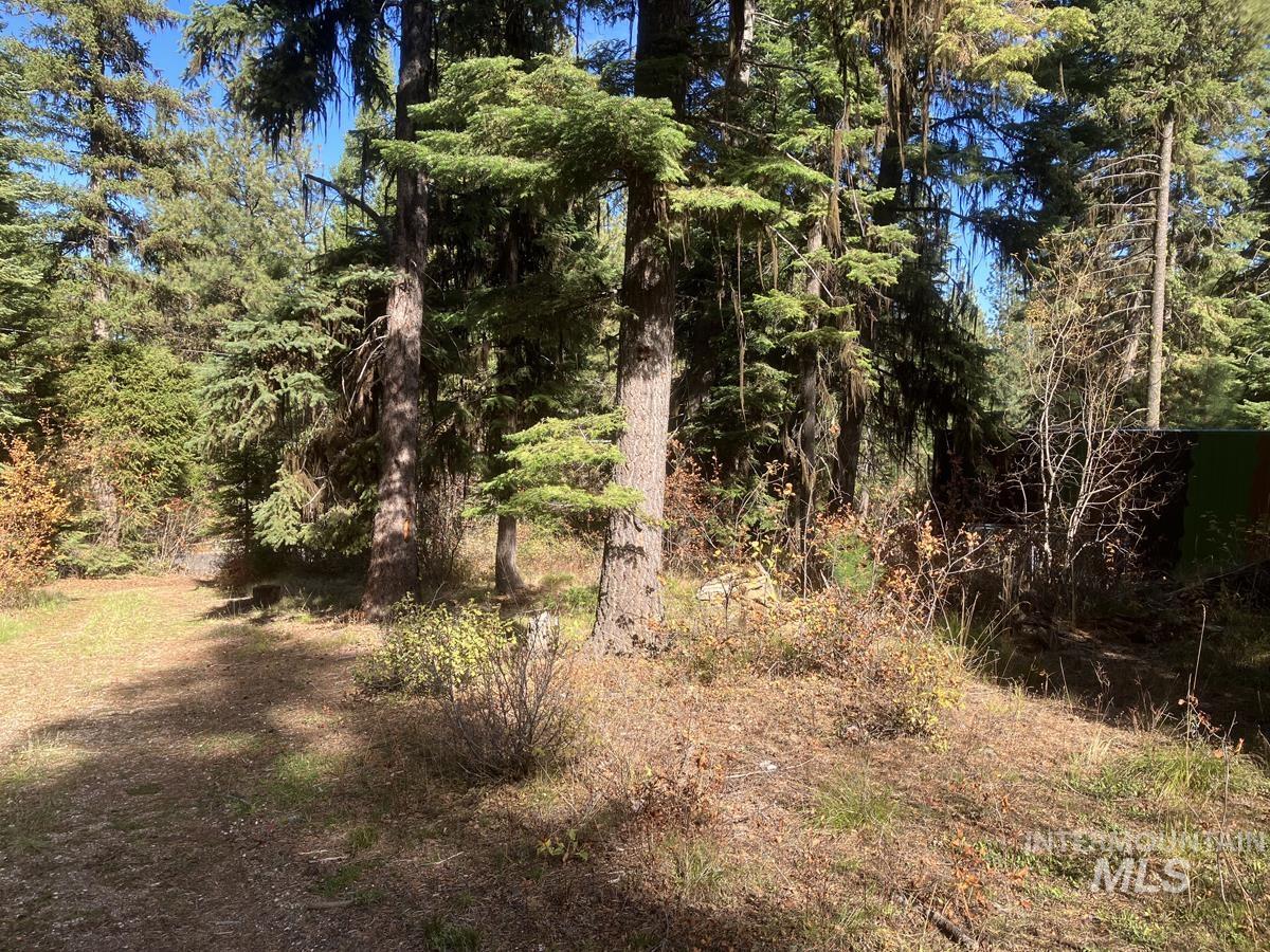 541 West Mountain Road, Cascade, Idaho 83611, Land For Sale, Price $95,500,MLS 98984566
