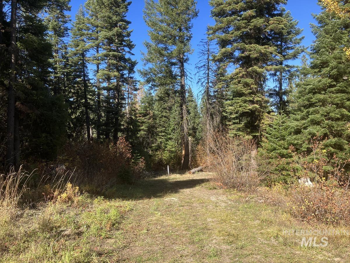 541 West Mountain Road, Cascade, Idaho 83611, Land For Sale, Price $95,500,MLS 98984566