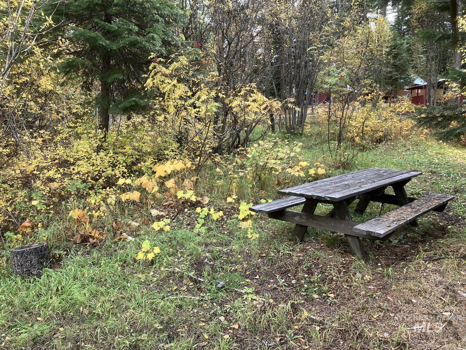534 Brenda Drive, Cascade, Idaho 83611, Land For Sale, Price $95,500,MLS 98984599