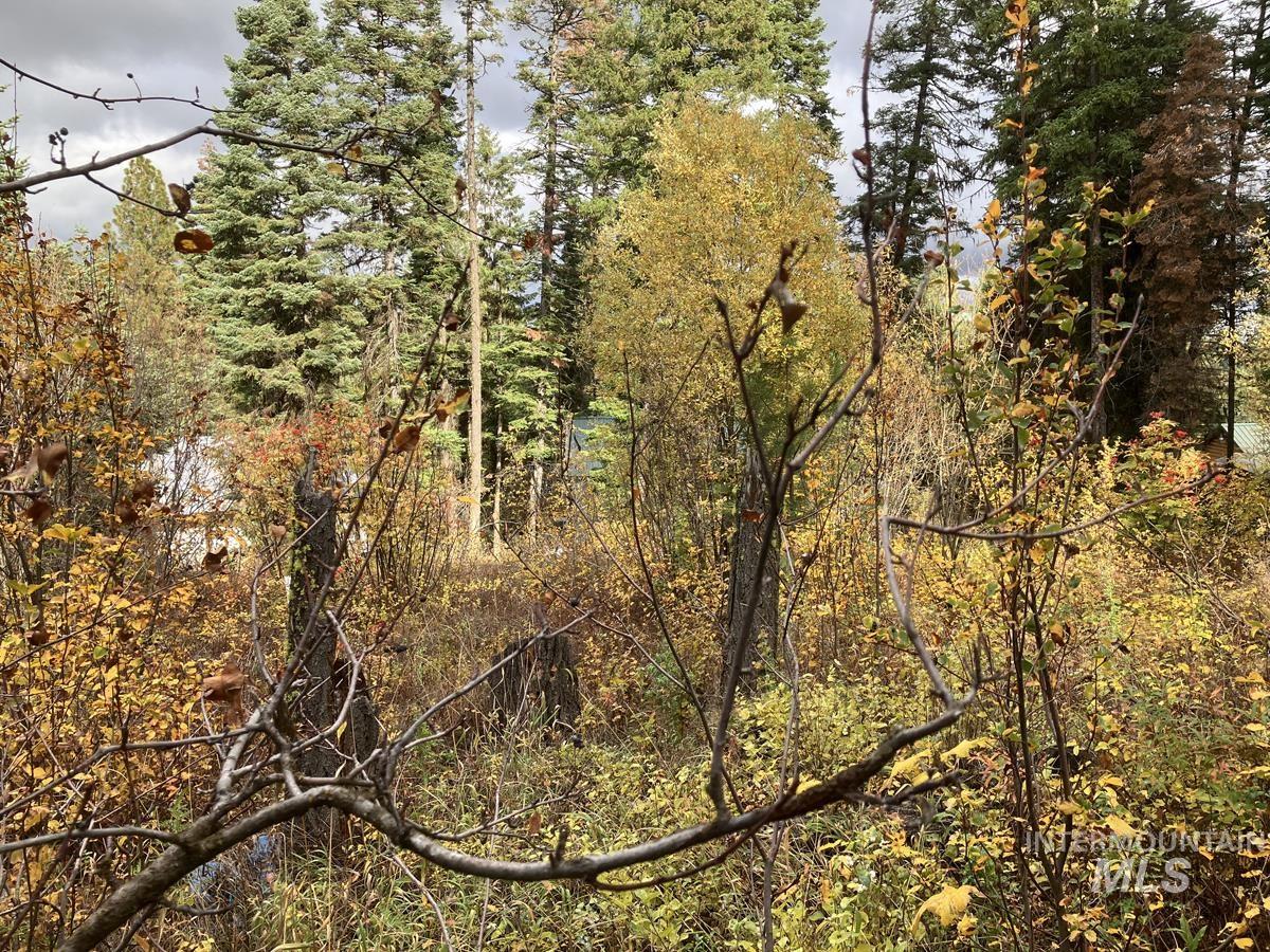 534 Brenda Drive, Cascade, Idaho 83611, Land For Sale, Price $95,500,MLS 98984599