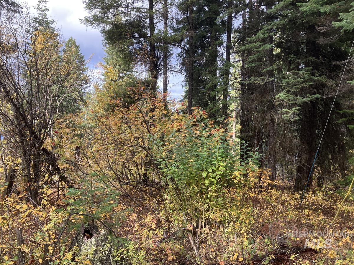 534 Brenda Drive, Cascade, Idaho 83611, Land For Sale, Price $95,500,MLS 98984600