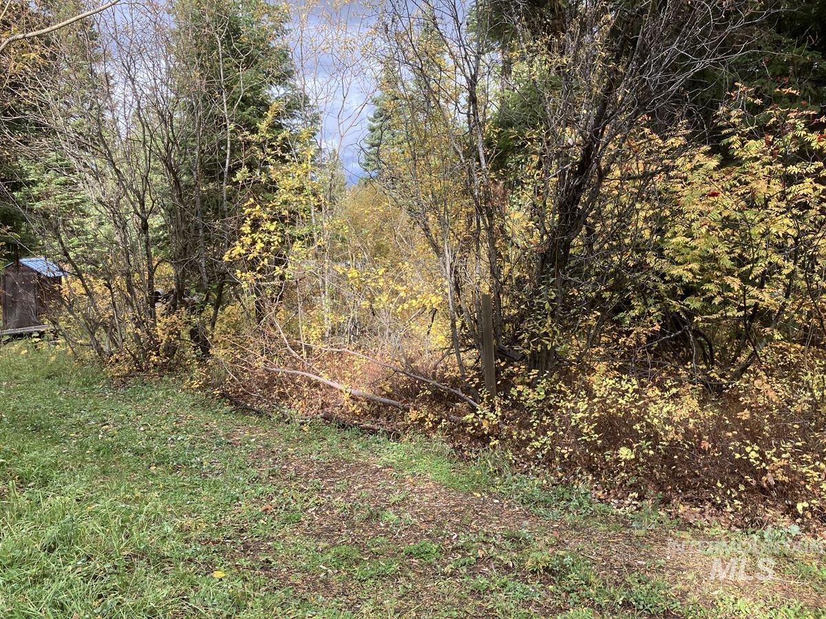 534 Brenda Drive, Cascade, Idaho 83611, Land For Sale, Price $95,500,MLS 98984600