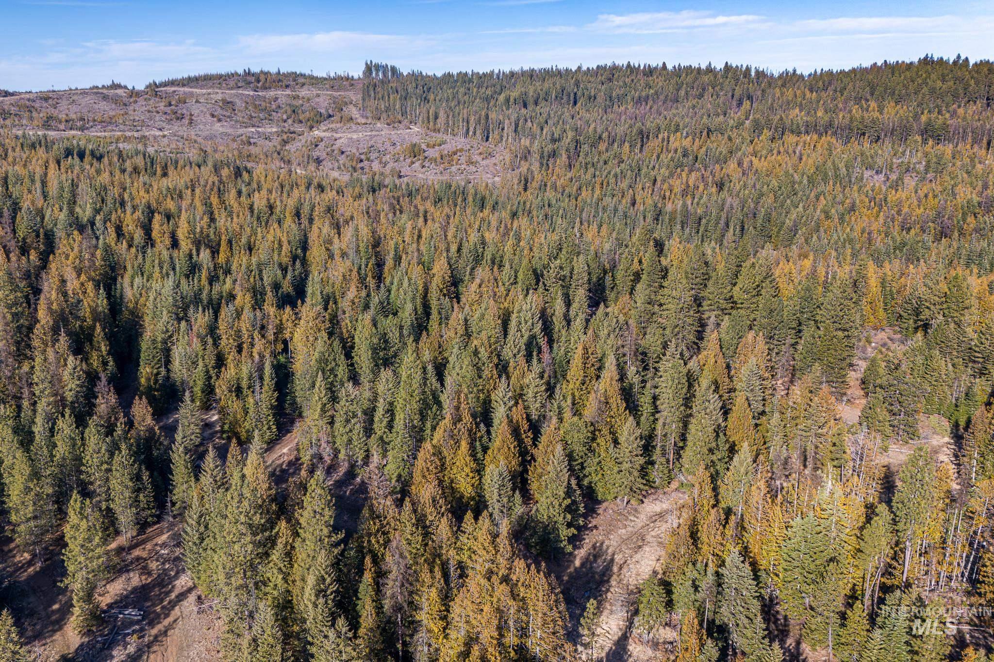 TBD Freeman Creek Road, Orofino, Idaho 83544, Land For Sale, Price $297,000, 98984619