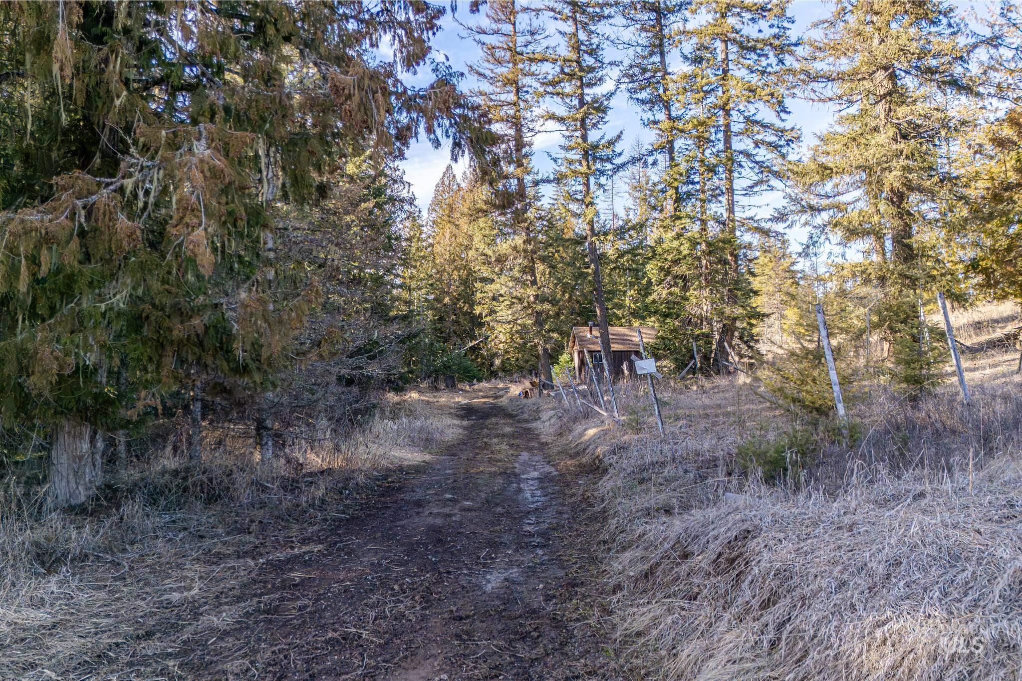 TBD Freeman Creek Road, Orofino, Idaho 83544, Land For Sale, Price $297,000, 98984619