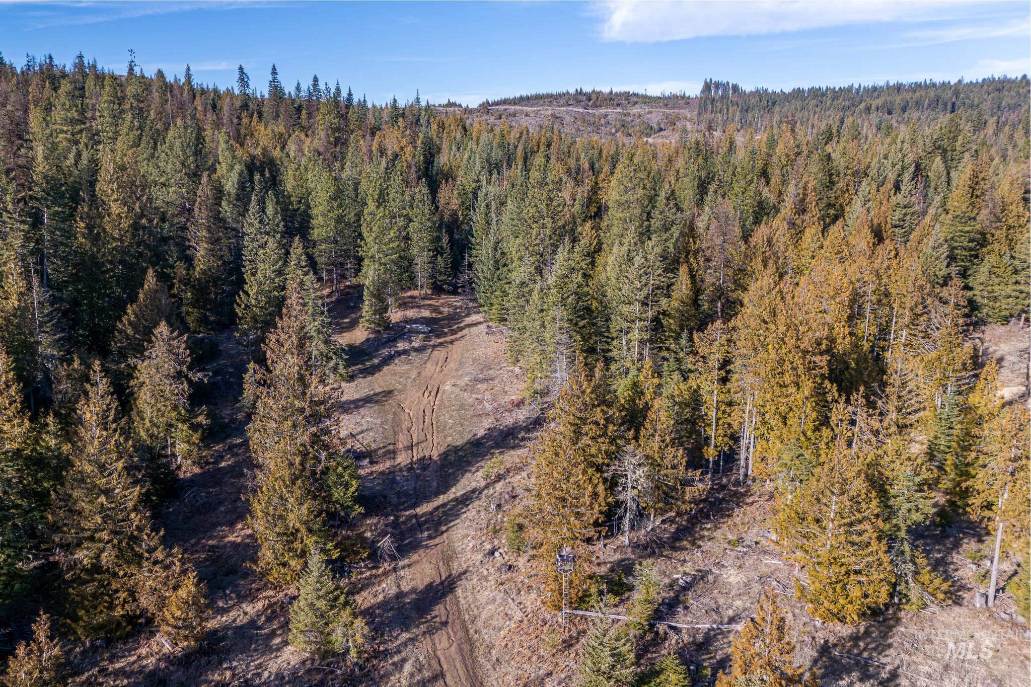 TBD Freeman Creek Road, Orofino, Idaho 83544, Land For Sale, Price $297,000, 98984619