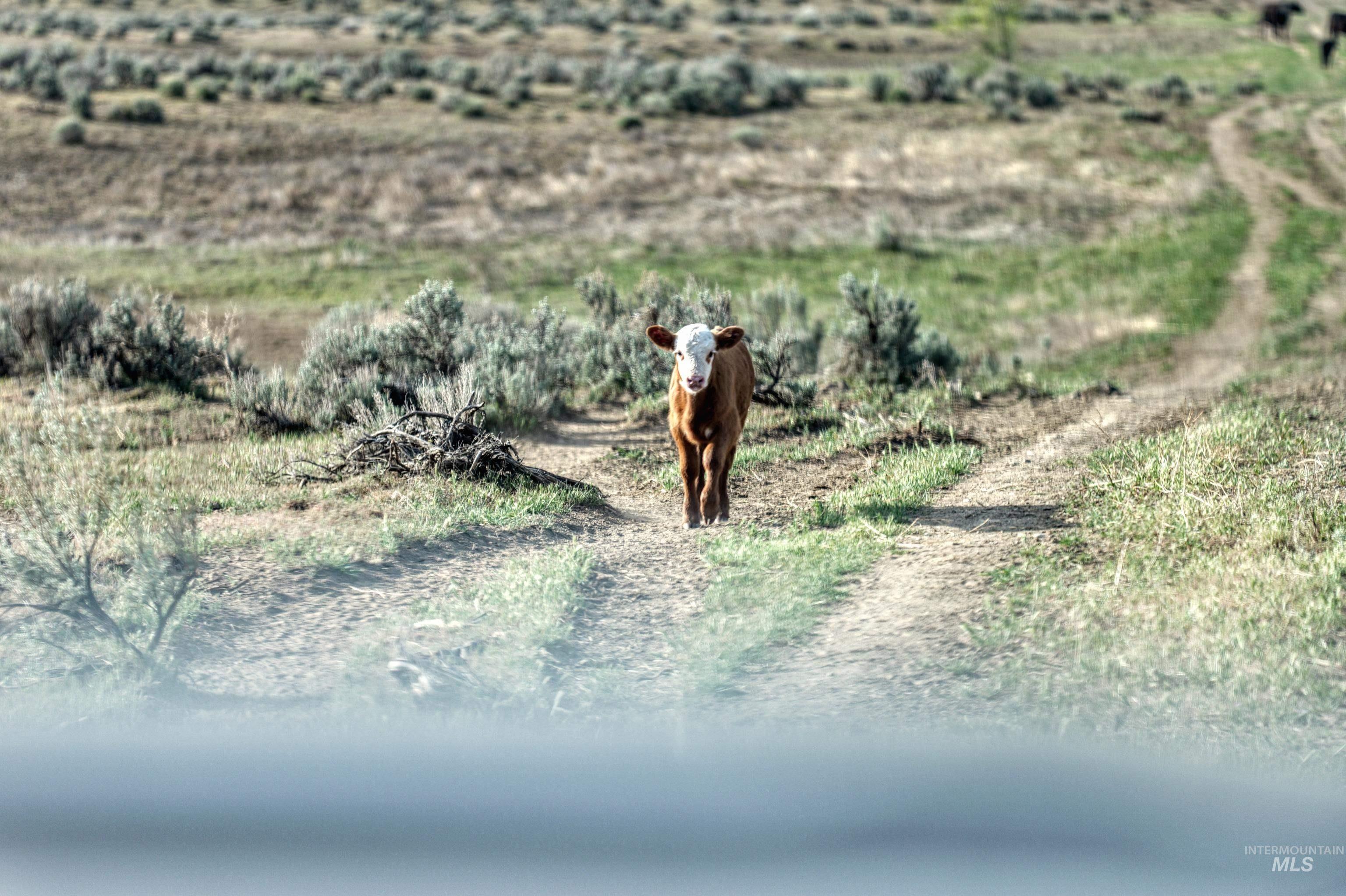 TBD Highway 30, Buhl, Idaho 83316, Farm & Ranch For Sale, Price $3,750,000, 98984667