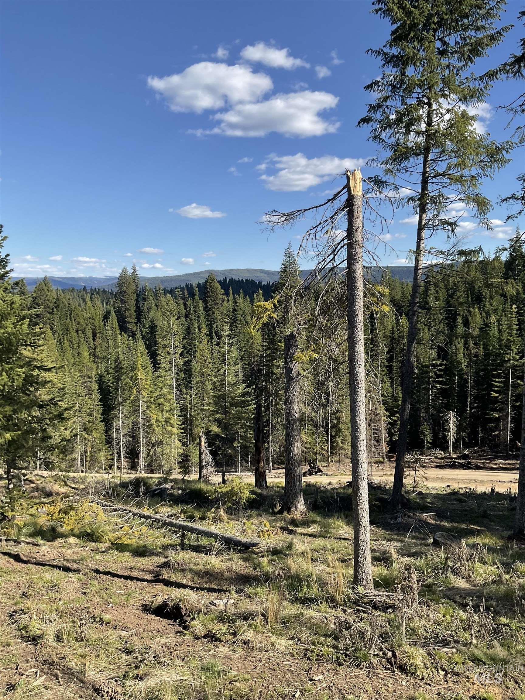176 Buffalo Gulch Rd., Elk City, Idaho 83525, 1 Bedroom, 1 Bathroom, Residential For Sale, Price $444,000, 98984693