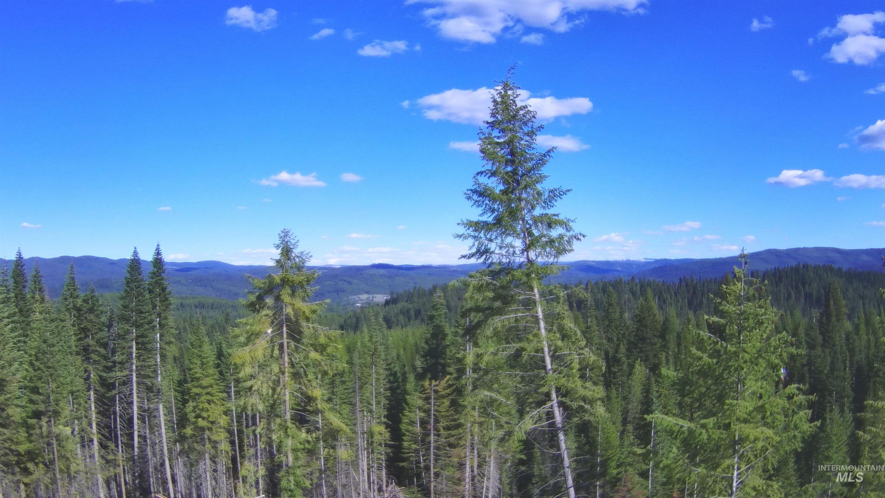 176 Buffalo Gulch Rd., Elk City, Idaho 83525, 1 Bedroom, 1 Bathroom, Residential For Sale, Price $444,000, 98984693