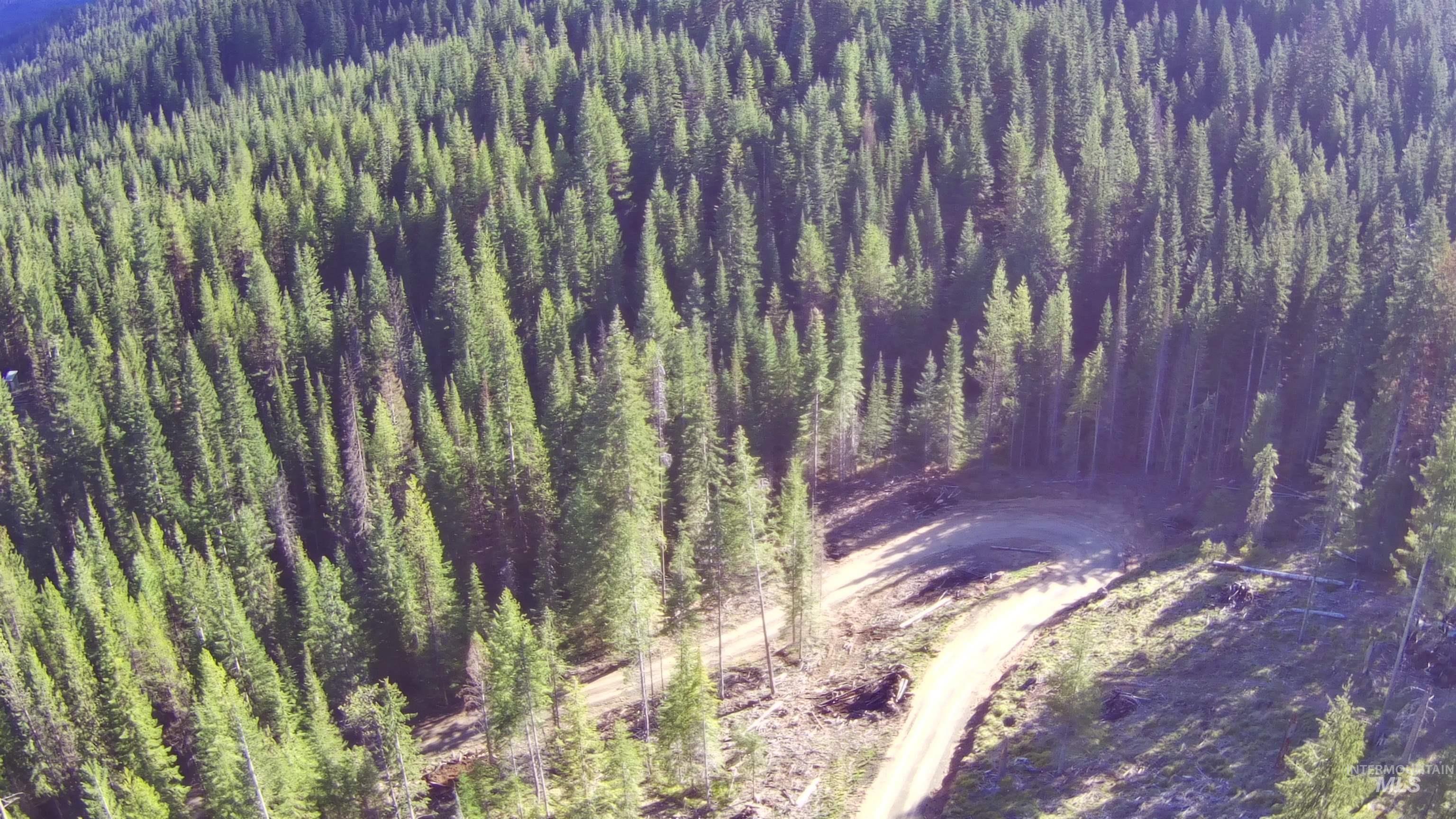 176 Buffalo Gulch Rd., Elk City, Idaho 83525, 1 Bedroom, 1 Bathroom, Residential For Sale, Price $444,000, 98984693