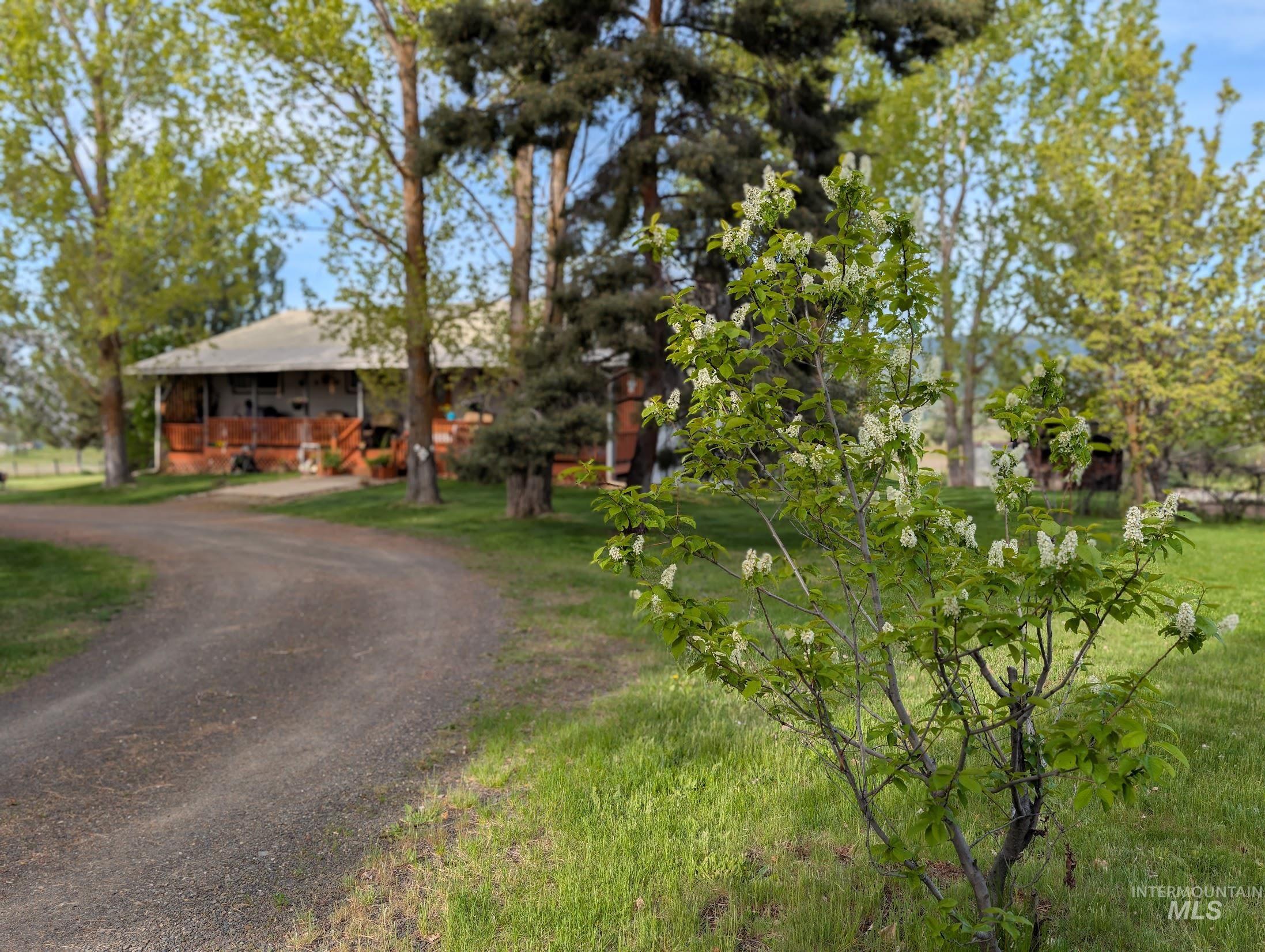 2127 Hwy 95, Council, Idaho 83612, 3 Bedrooms, 2.5 Bathrooms, Residential For Sale, Price $685,000,MLS 98984697