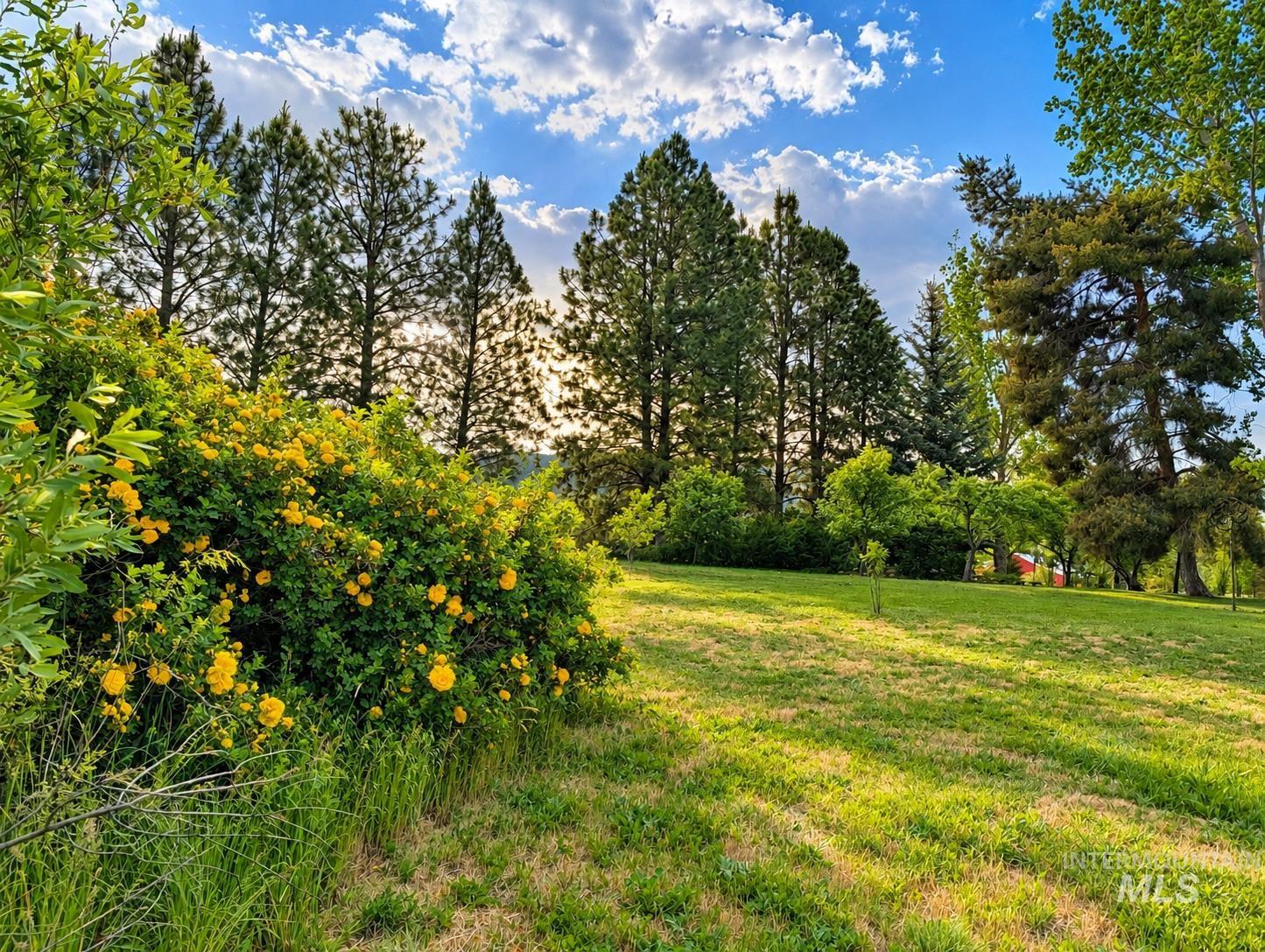 2127 Hwy 95, Council, Idaho 83612, 3 Bedrooms, 2.5 Bathrooms, Residential For Sale, Price $635,000,MLS 98984697