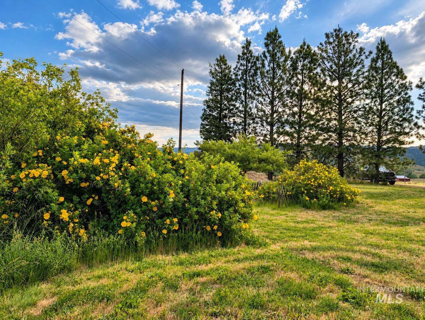 2127 Hwy 95, Council, Idaho 83612, 3 Bedrooms, 2.5 Bathrooms, Residential For Sale, Price $635,000,MLS 98984697