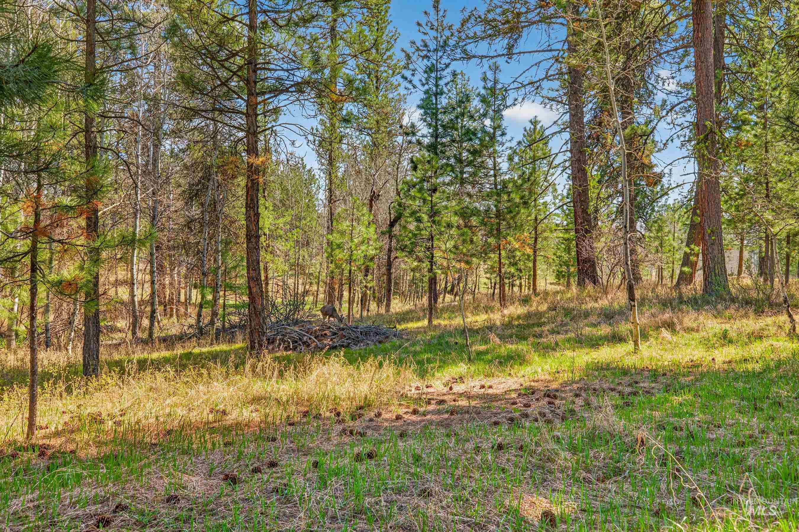 628 Woodlands Dr, McCall, Idaho 83638, 2 Bedrooms, 2 Bathrooms, Residential For Sale, Price $699,000, 98984704