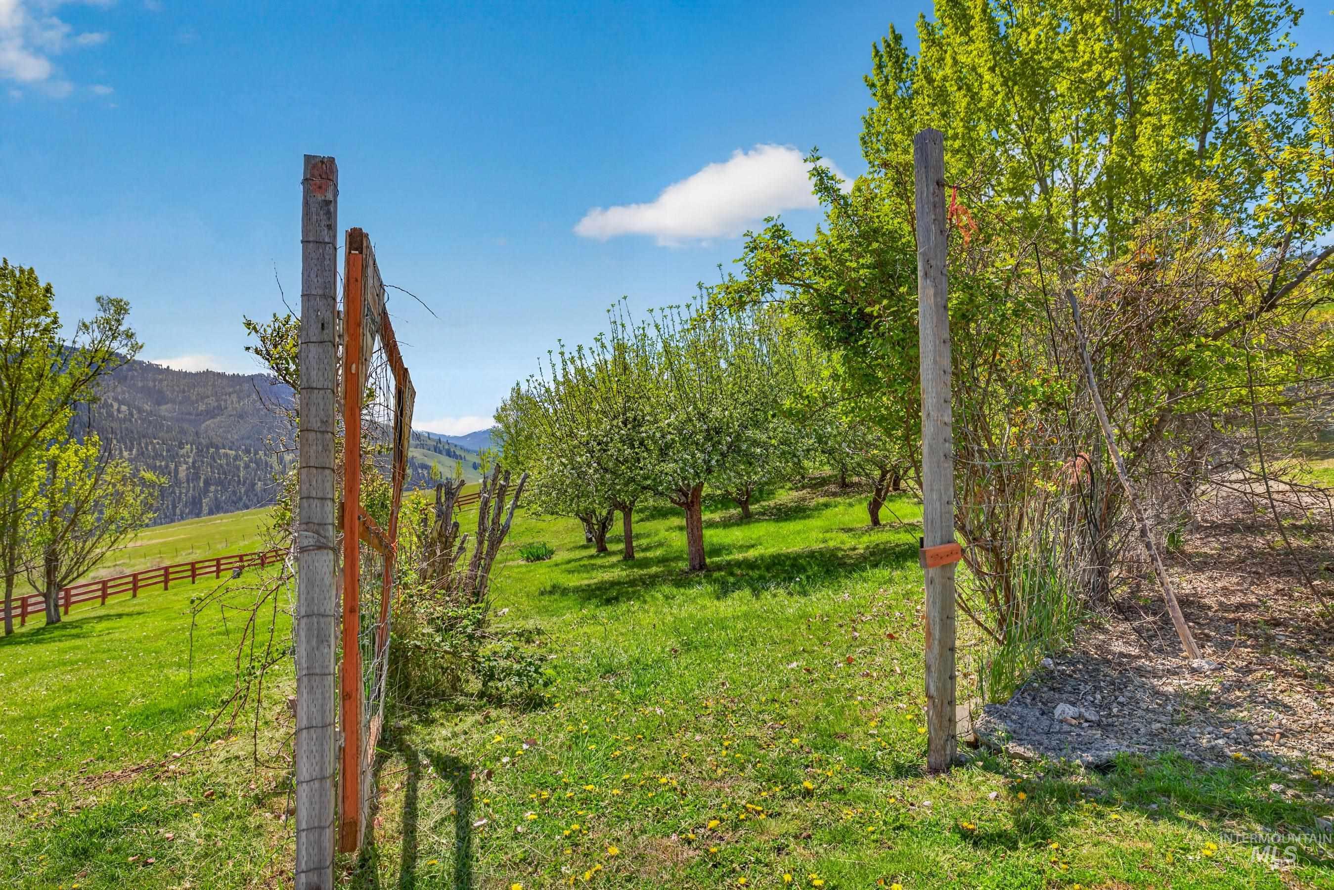 213 Little Salmon Overlook, Pollock, Idaho 83547, 3 Bedrooms, 2 Bathrooms, Residential For Sale, Price $595,000, 98984715