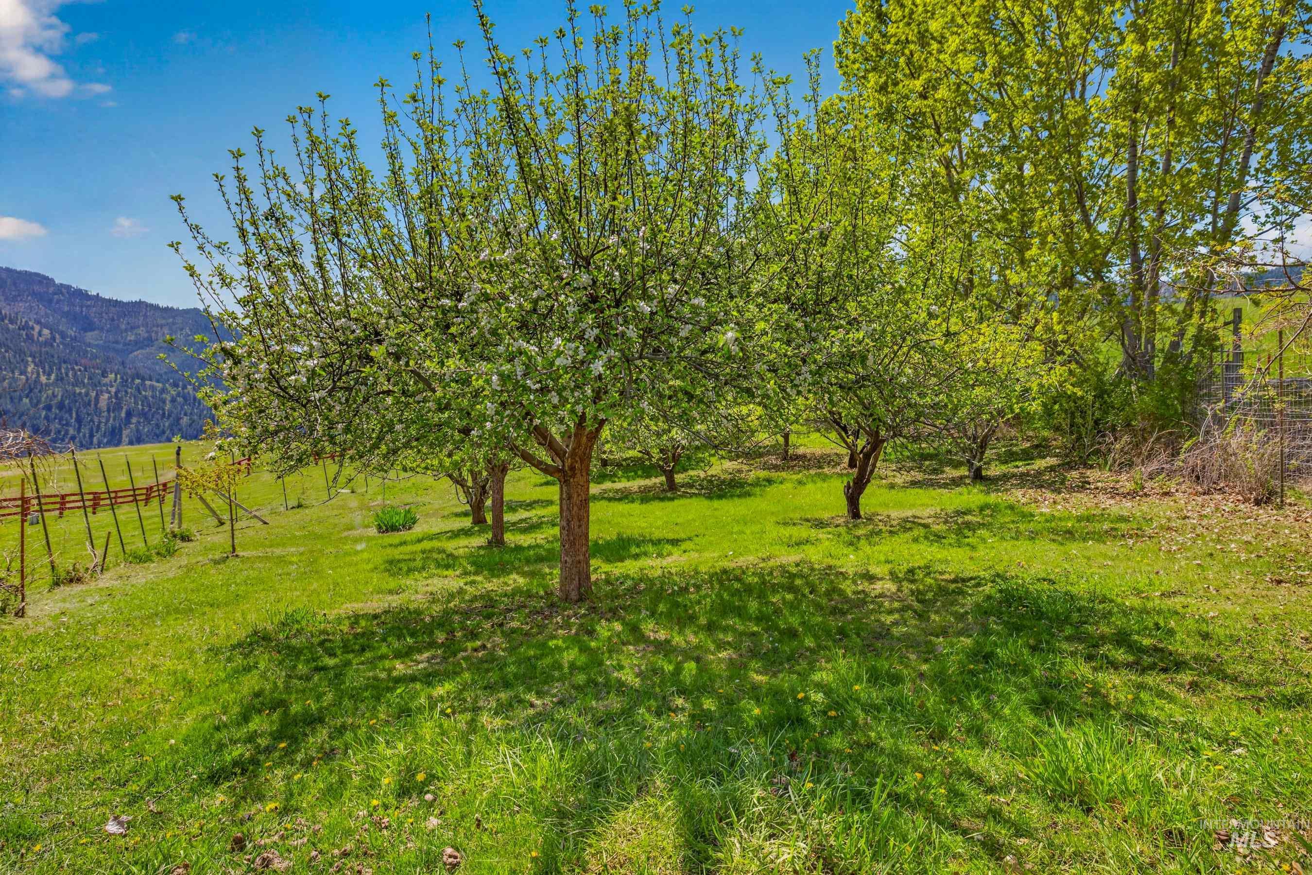 213 Little Salmon Overlook, Pollock, Idaho 83547, 3 Bedrooms, 2 Bathrooms, Residential For Sale, Price $595,000, 98984715