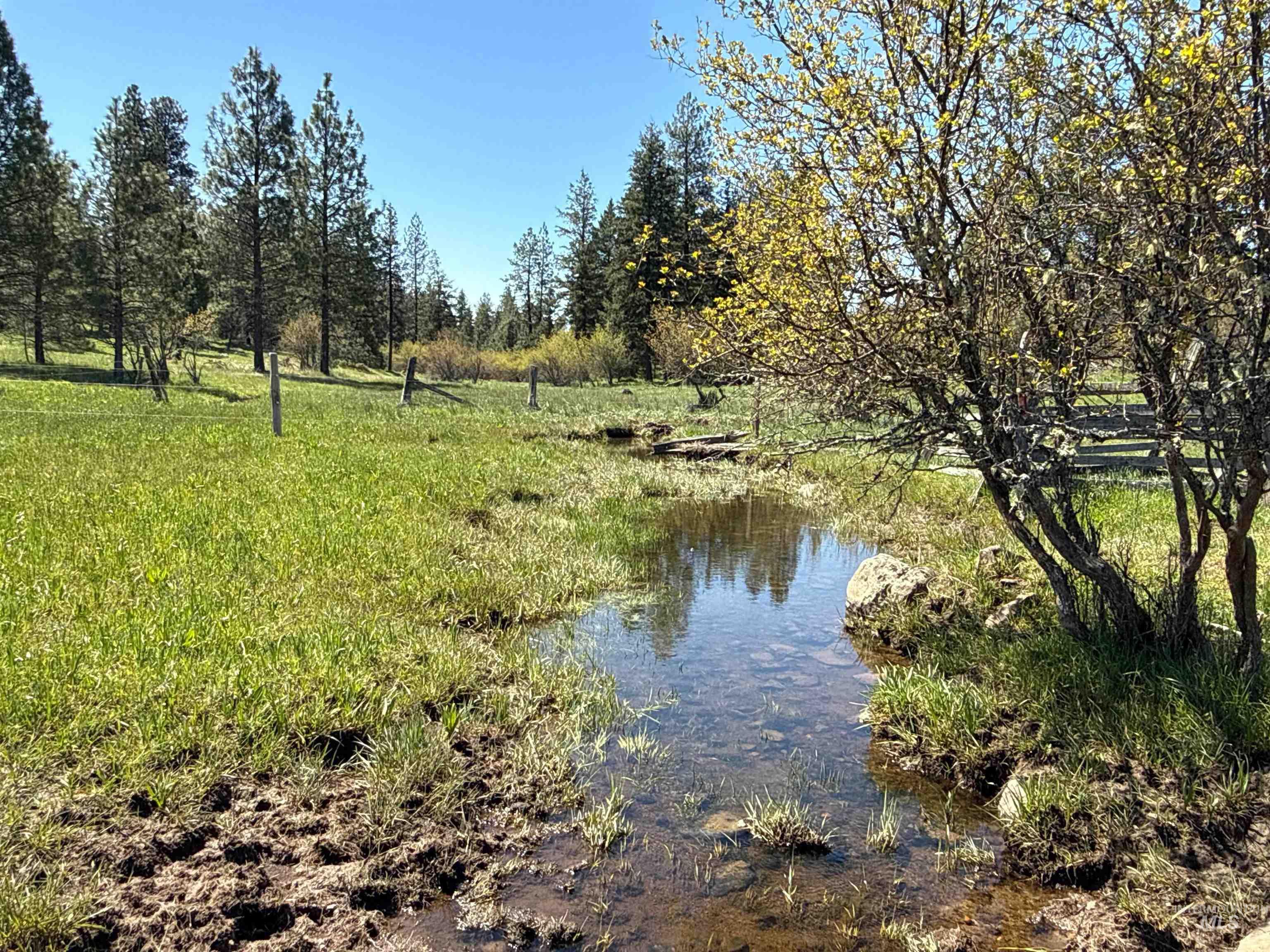 1254 Stuart Rd, Orofino, Idaho 83544, 1 Bedroom, 1 Bathroom, Residential For Sale, Price $799,900,MLS 98984720