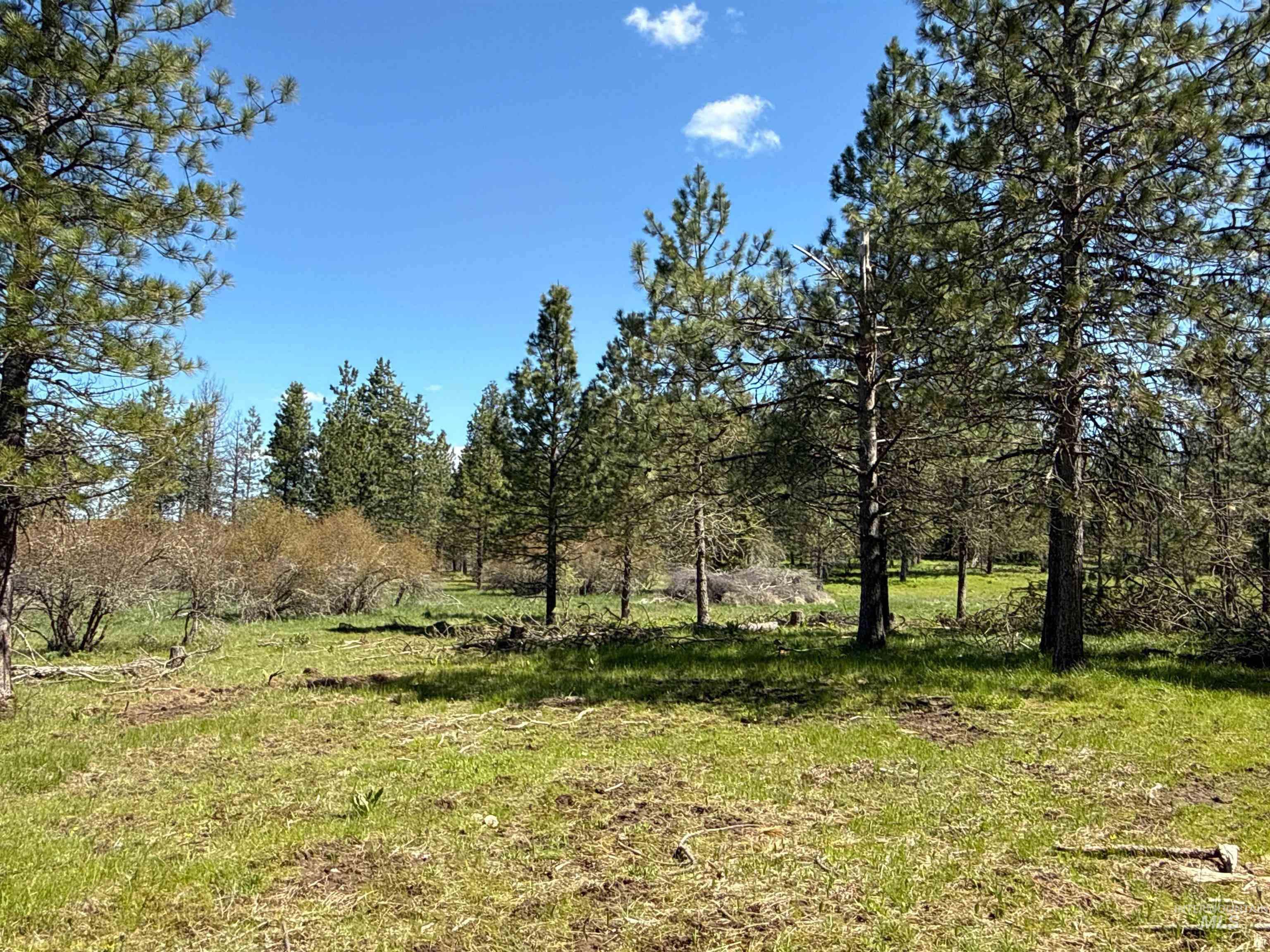 1254 Stuart Rd, Orofino, Idaho 83544, 1 Bedroom, 1 Bathroom, Residential For Sale, Price $799,900,MLS 98984720
