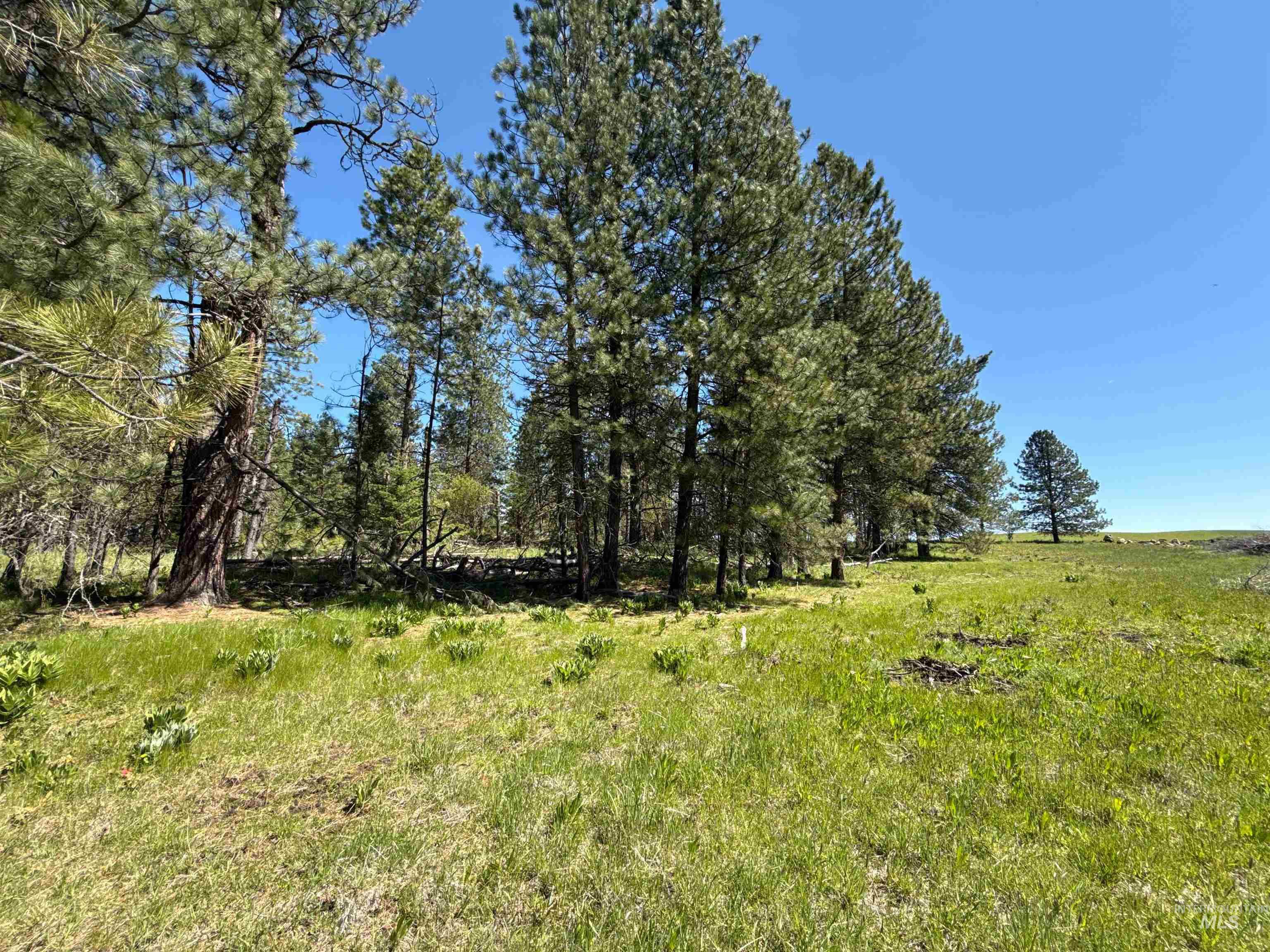 1254 Stuart Rd, Orofino, Idaho 83544, 1 Bedroom, 1 Bathroom, Residential For Sale, Price $799,900,MLS 98984720