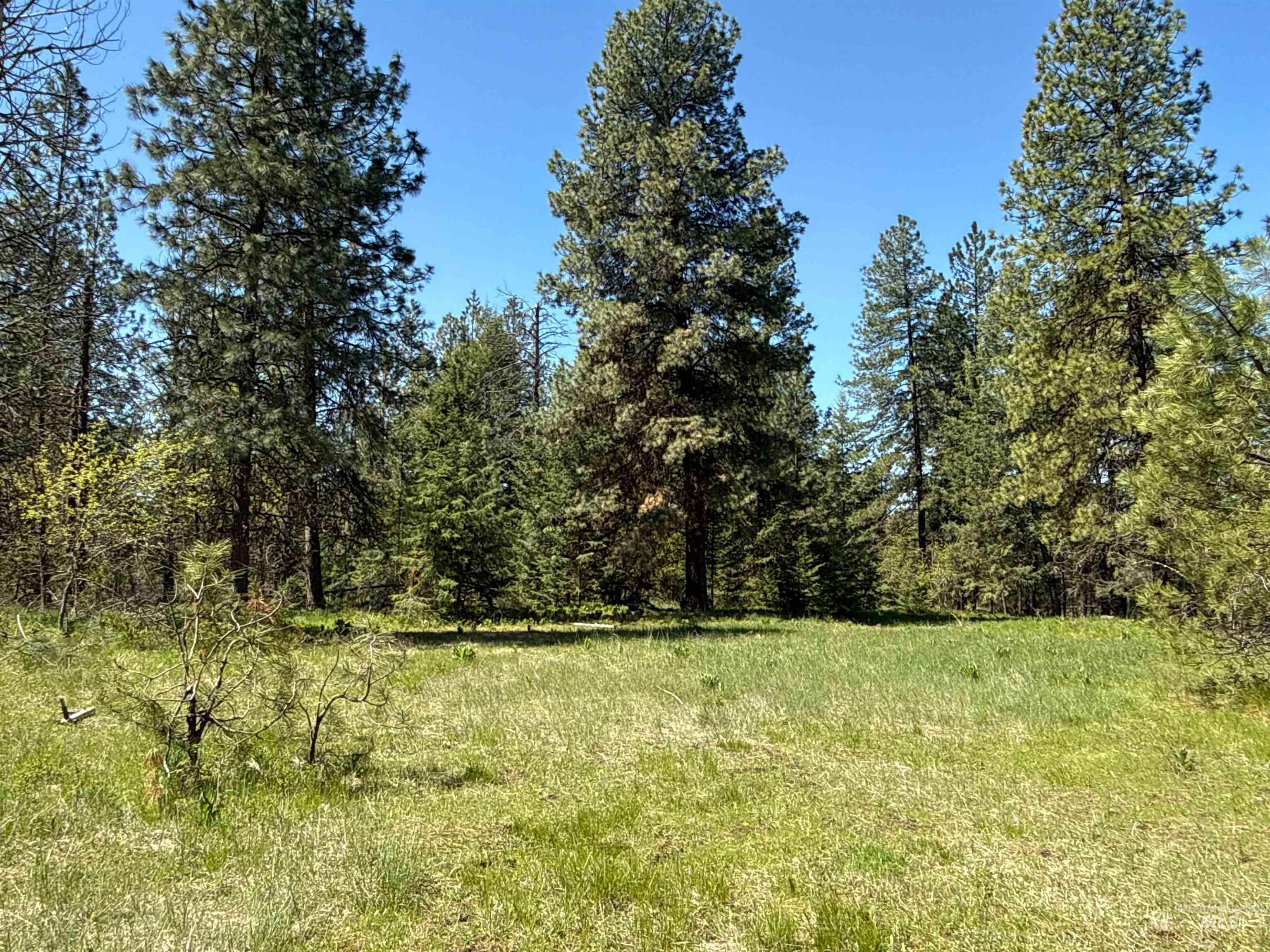 1254 Stuart Rd, Orofino, Idaho 83544, 1 Bedroom, 1 Bathroom, Residential For Sale, Price $799,900,MLS 98984720