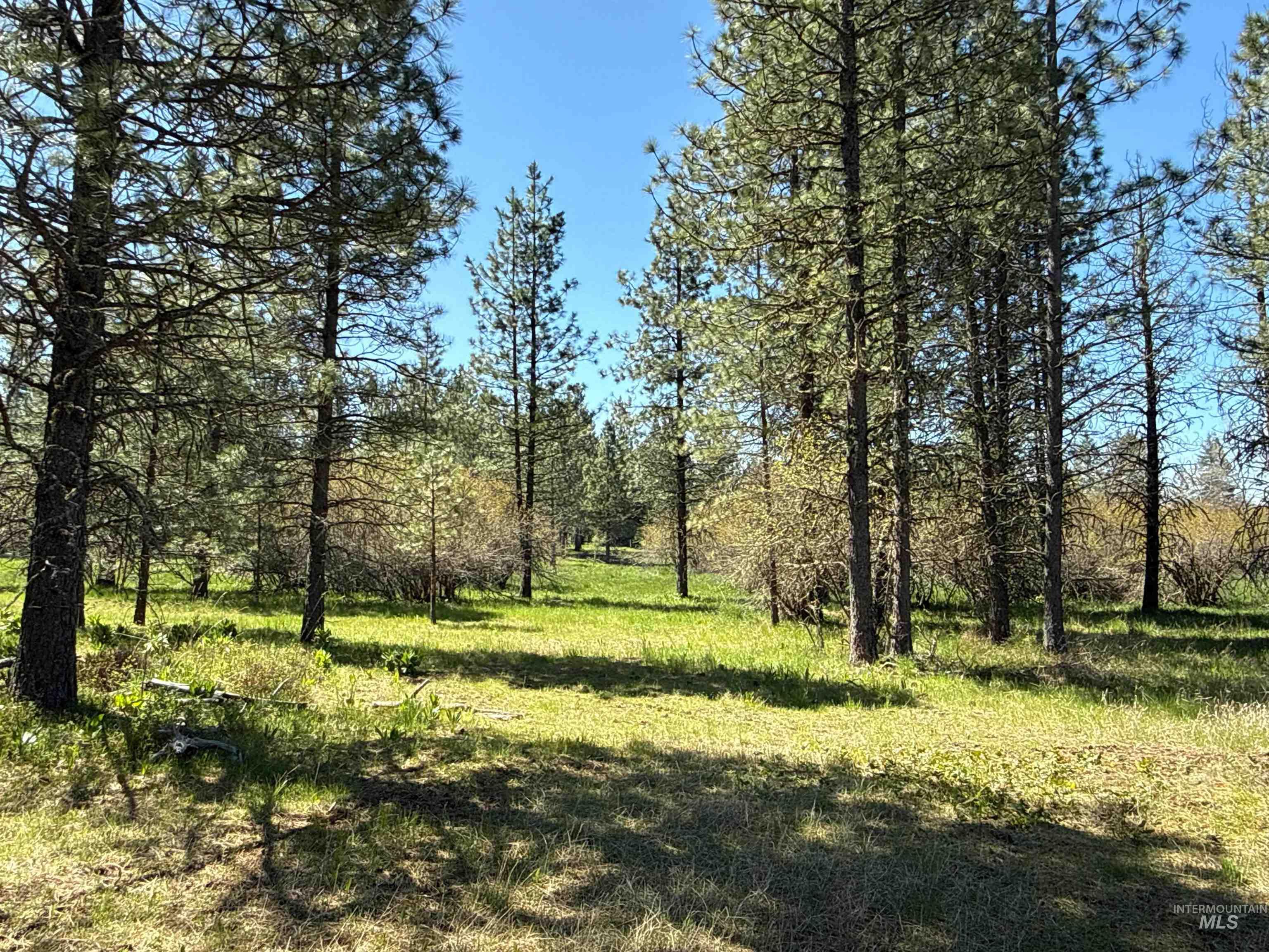 1254 Stuart Rd, Orofino, Idaho 83544, 1 Bedroom, 1 Bathroom, Residential For Sale, Price $799,900,MLS 98984720
