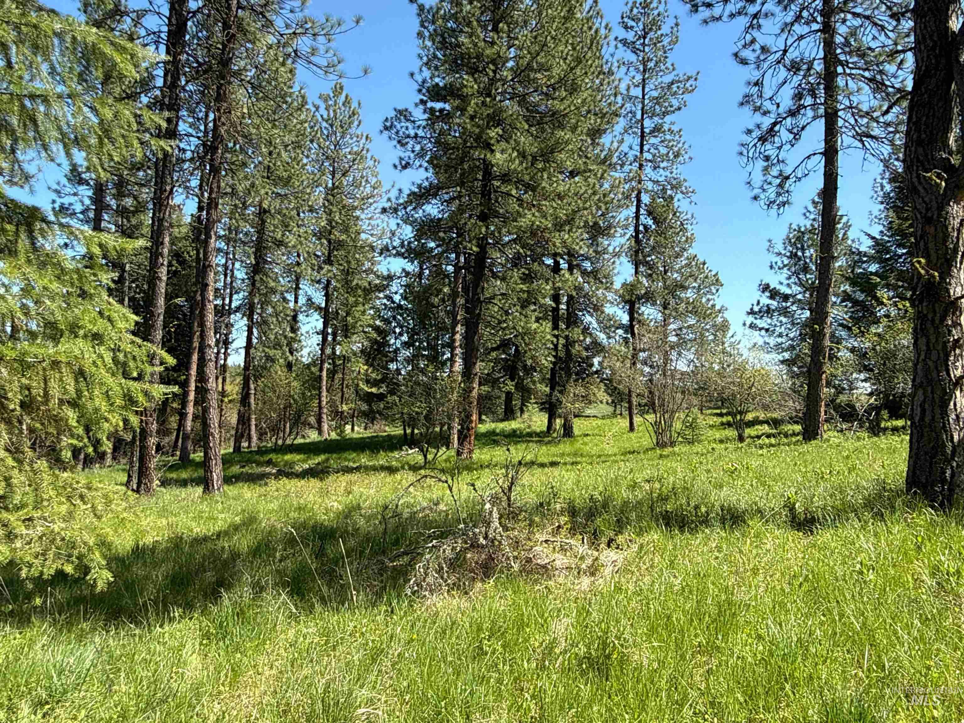 1254 Stuart Rd, Orofino, Idaho 83544, 1 Bedroom, 1 Bathroom, Residential For Sale, Price $799,900,MLS 98984720