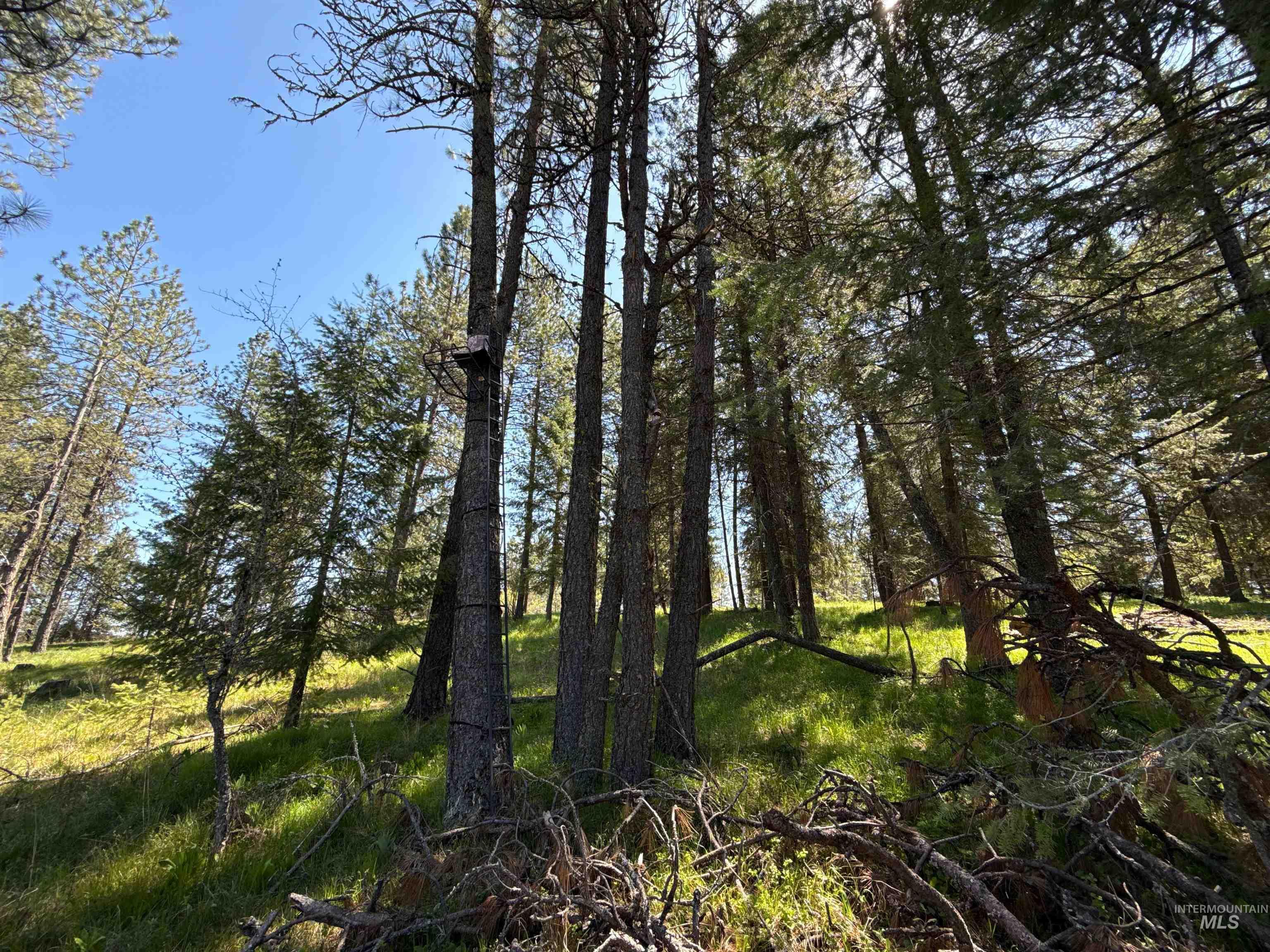 1254 Stuart Rd, Orofino, Idaho 83544, 1 Bedroom, 1 Bathroom, Residential For Sale, Price $799,900,MLS 98984720
