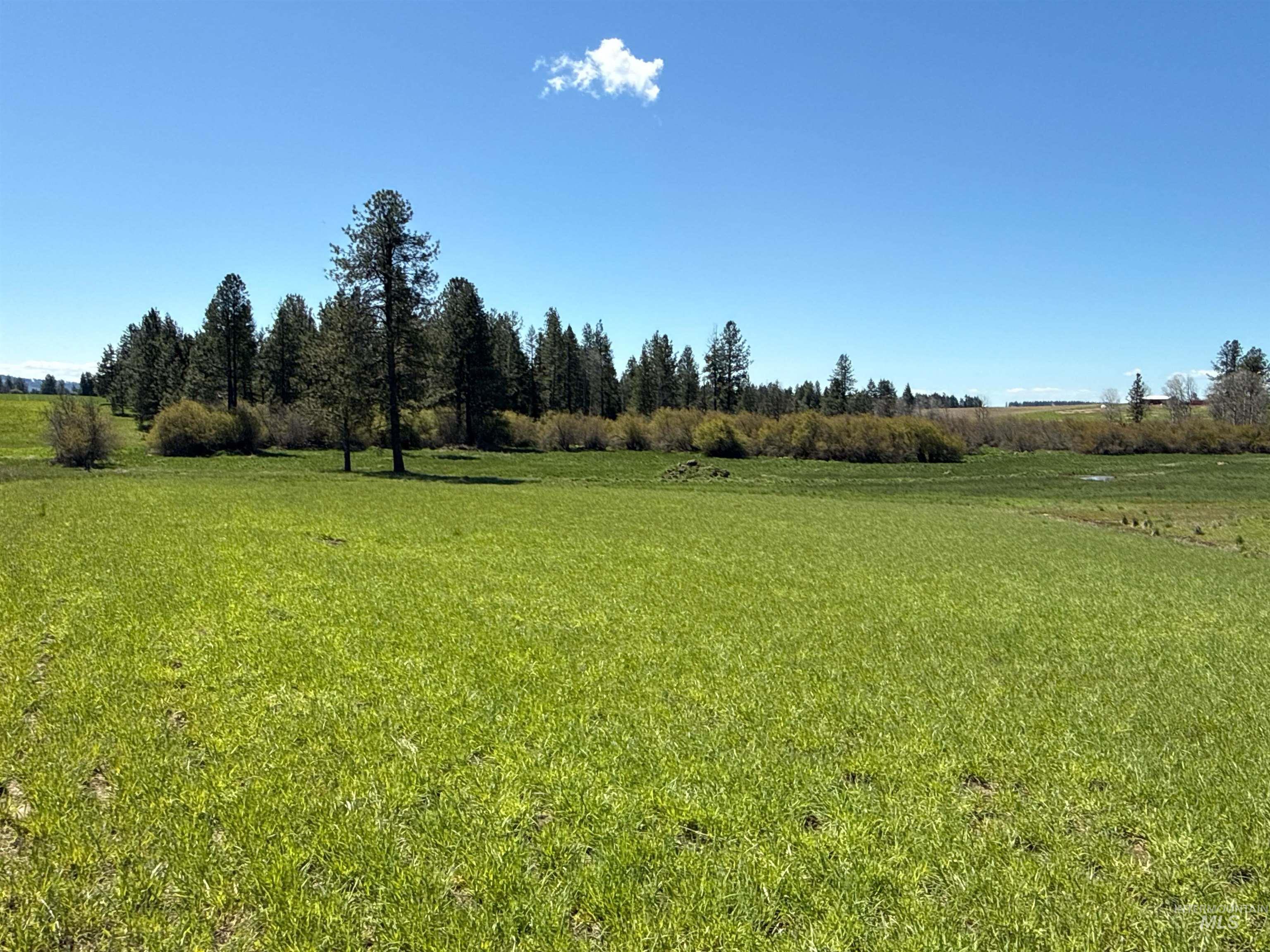 1254 Stuart Rd, Orofino, Idaho 83544, 1 Bedroom, 1 Bathroom, Residential For Sale, Price $799,900,MLS 98984720