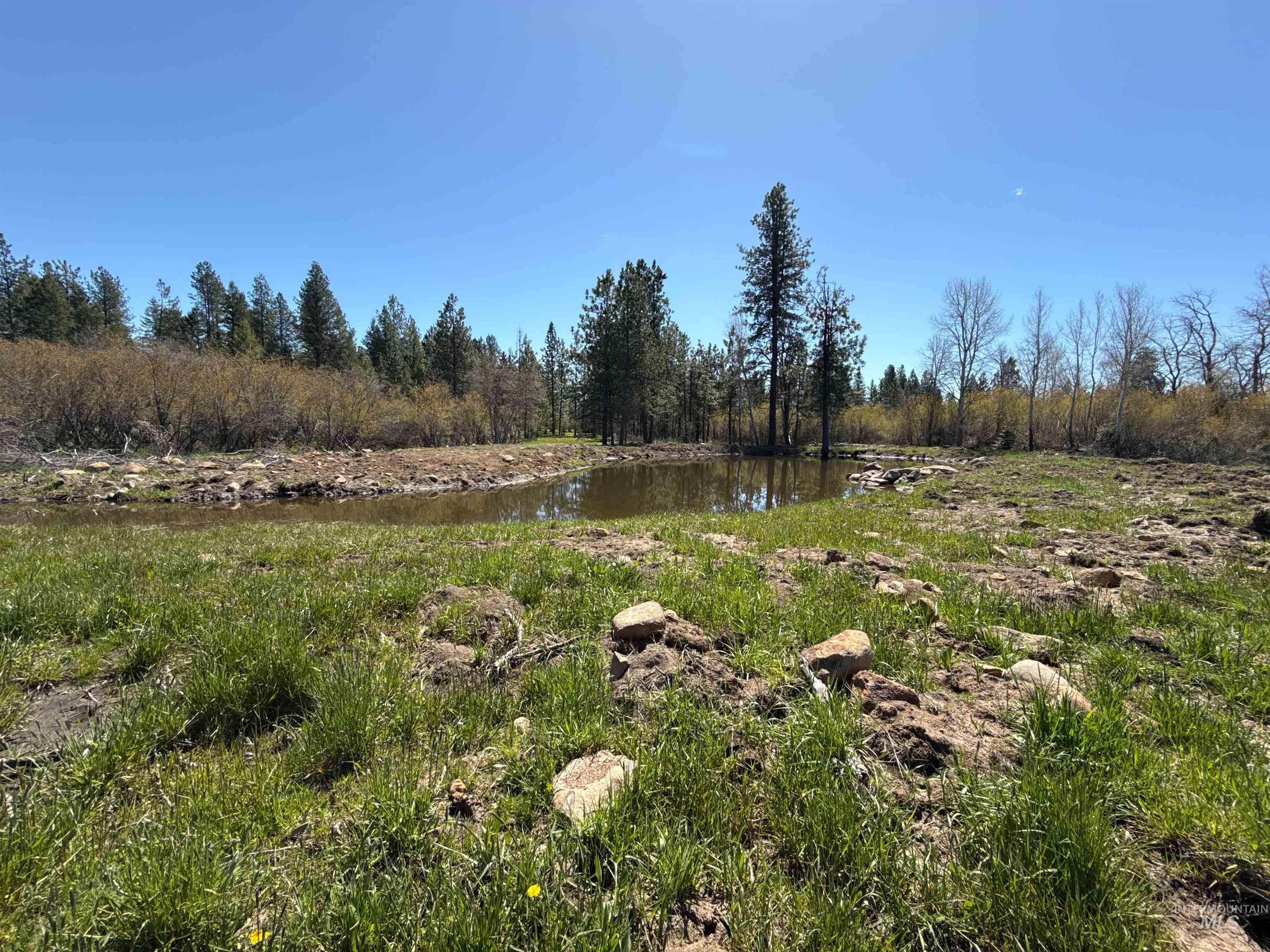 1254 Stuart Rd, Orofino, Idaho 83544, 1 Bedroom, 1 Bathroom, Residential For Sale, Price $799,900,MLS 98984720