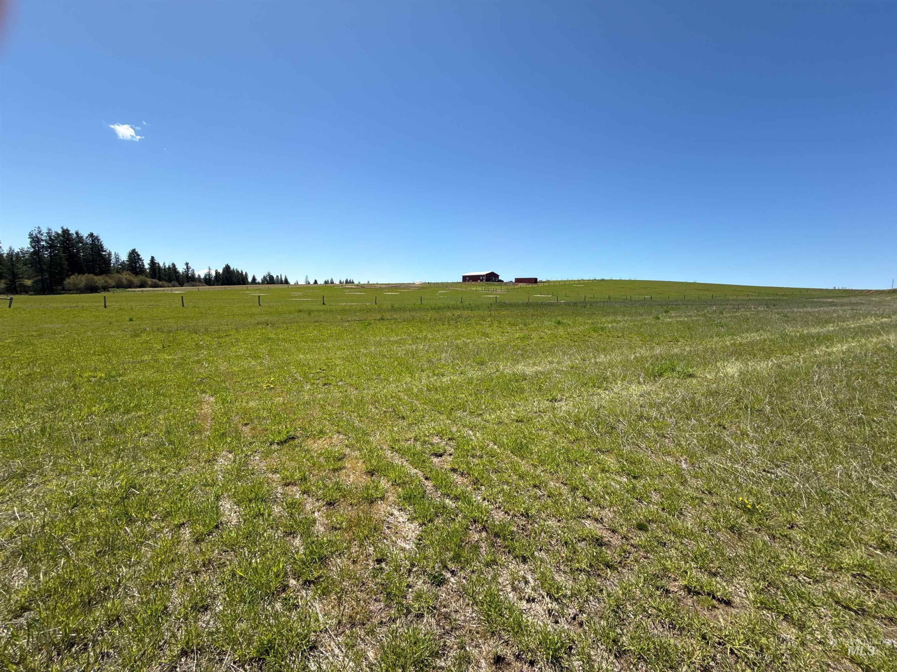 1254 Stuart Rd, Orofino, Idaho 83544, 1 Bedroom, 1 Bathroom, Residential For Sale, Price $799,900,MLS 98984720