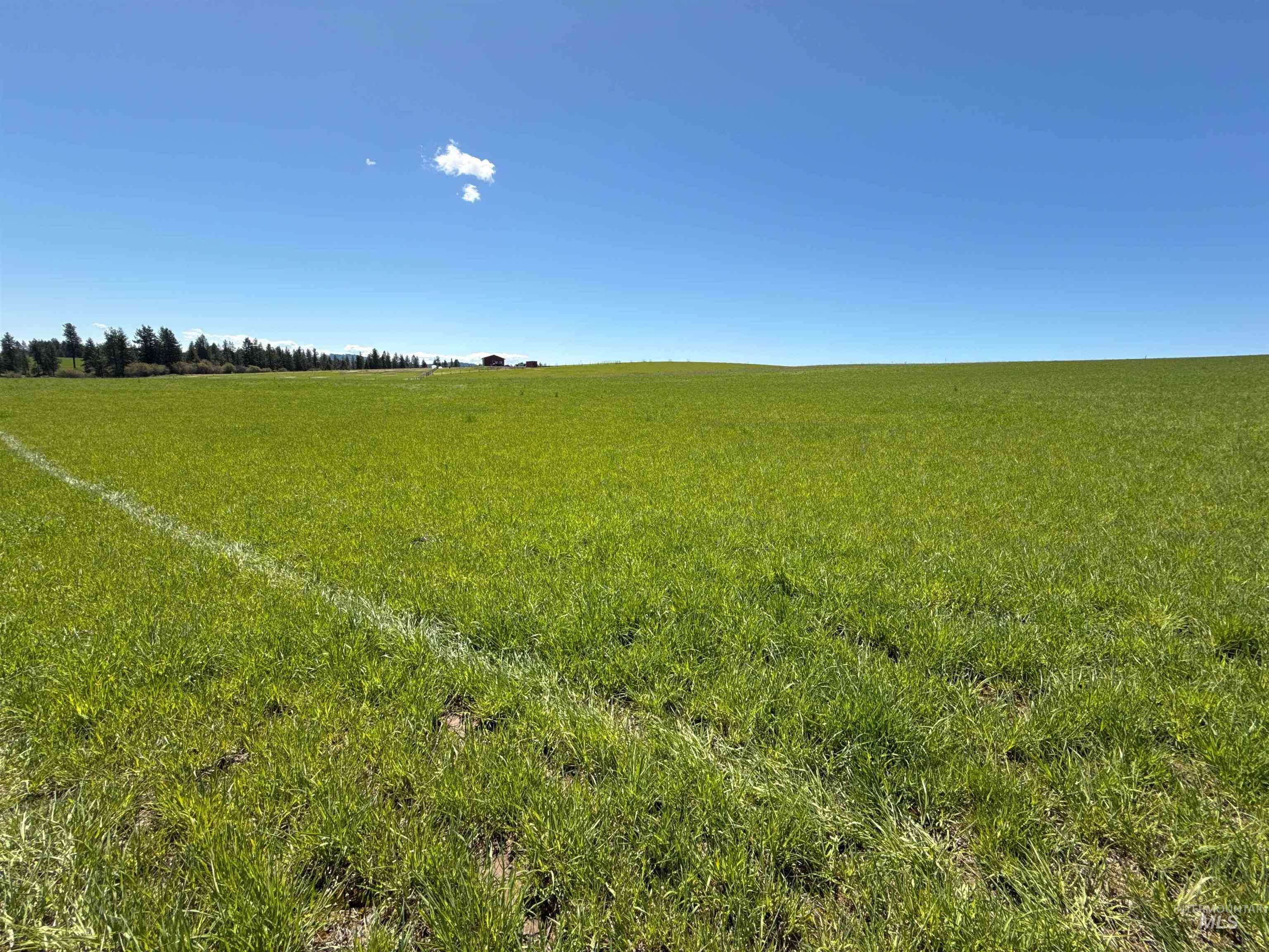 1254 Stuart Rd, Orofino, Idaho 83544, 1 Bedroom, 1 Bathroom, Residential For Sale, Price $799,900,MLS 98984720