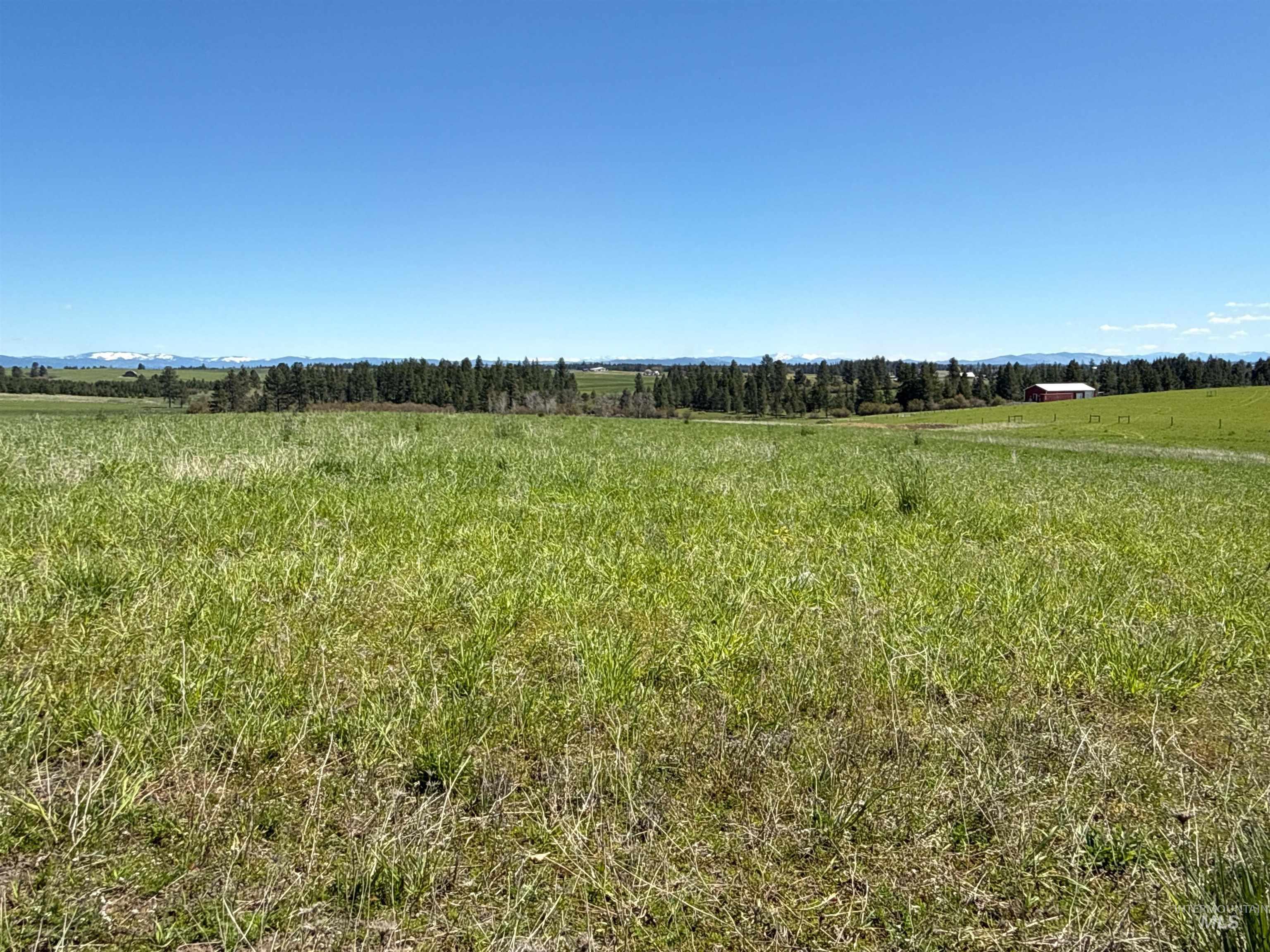 1254 Stuart Rd, Orofino, Idaho 83544, 1 Bedroom, 1 Bathroom, Residential For Sale, Price $799,900,MLS 98984720